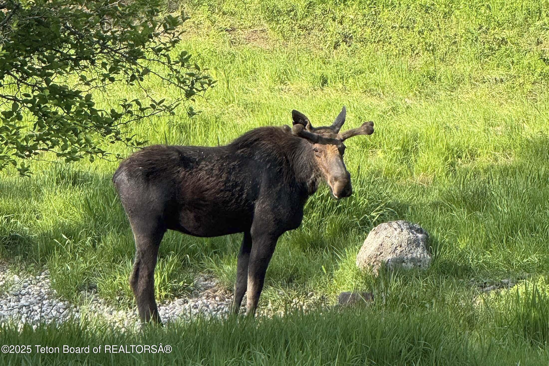 440 GRANITE RDG Drive