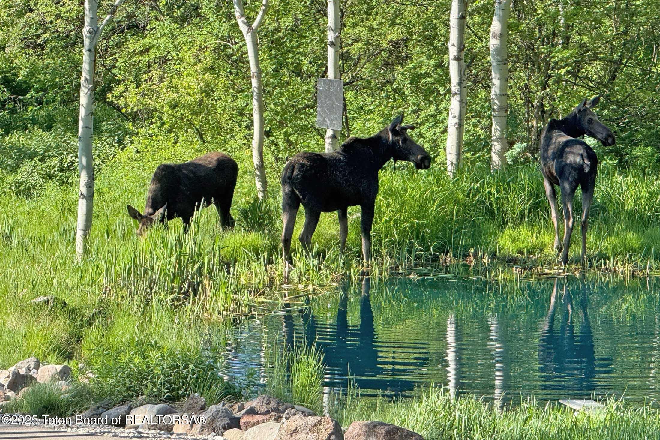 440 GRANITE RDG Drive