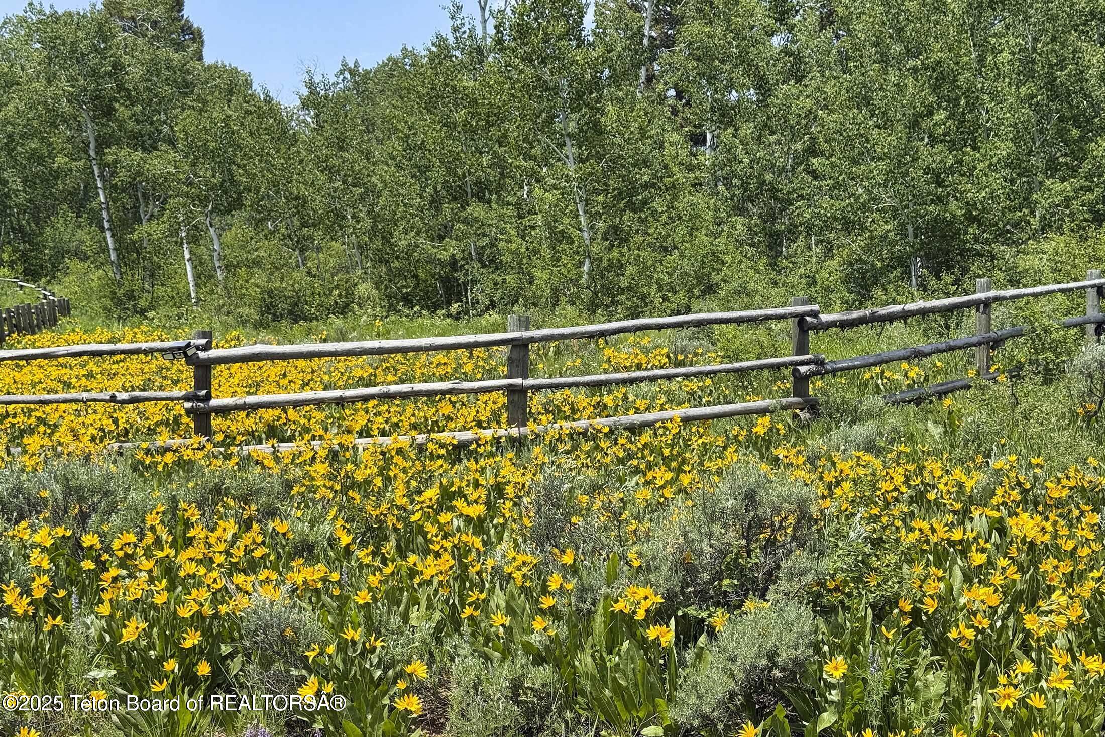 440 GRANITE RDG Drive