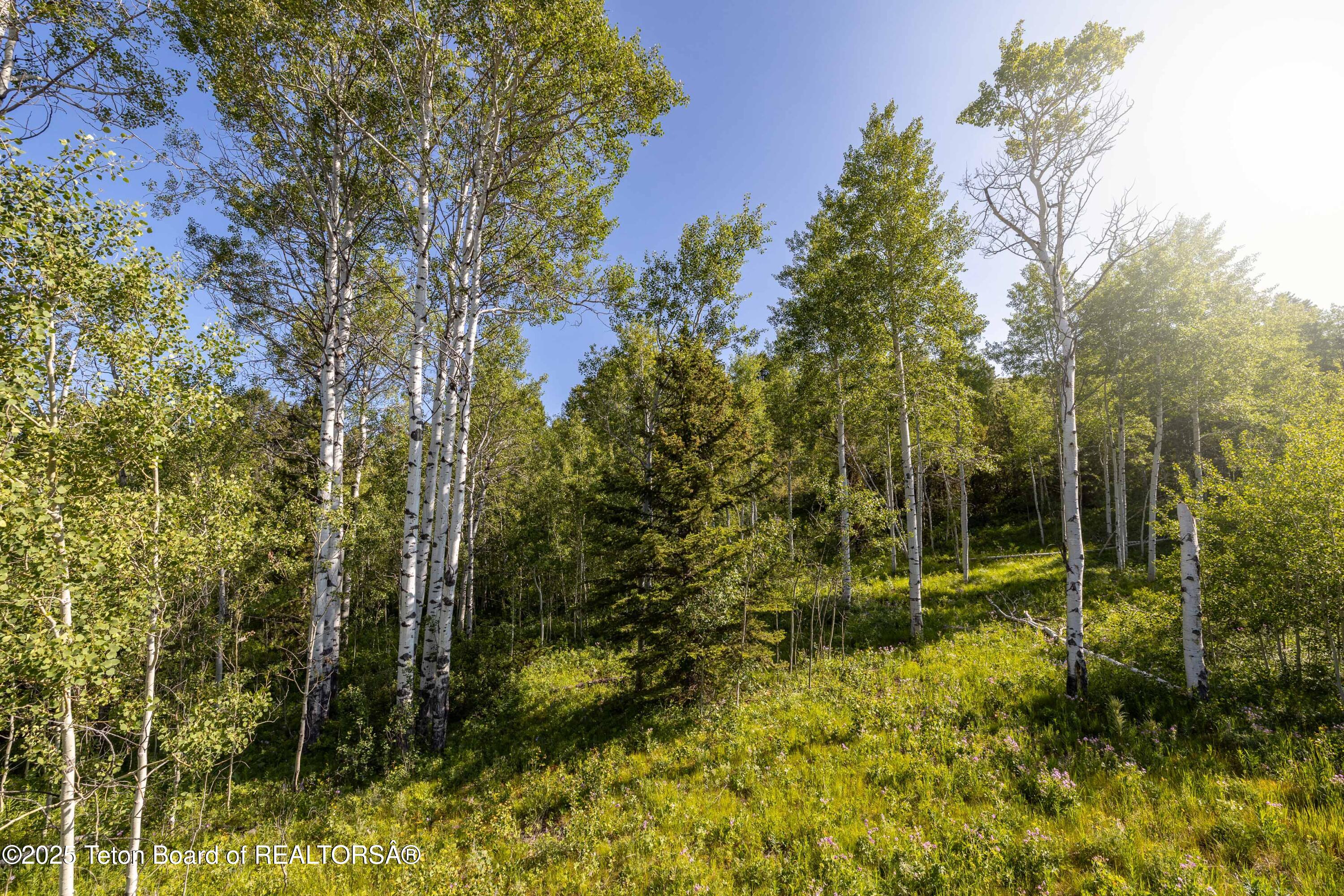 15245 E TETON WILDERNESS Drive