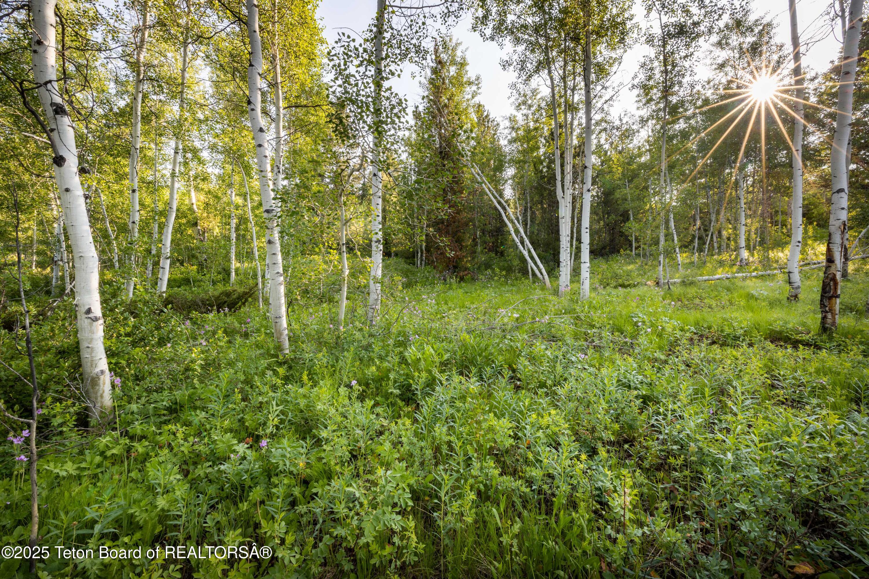 15245 E TETON WILDERNESS Drive