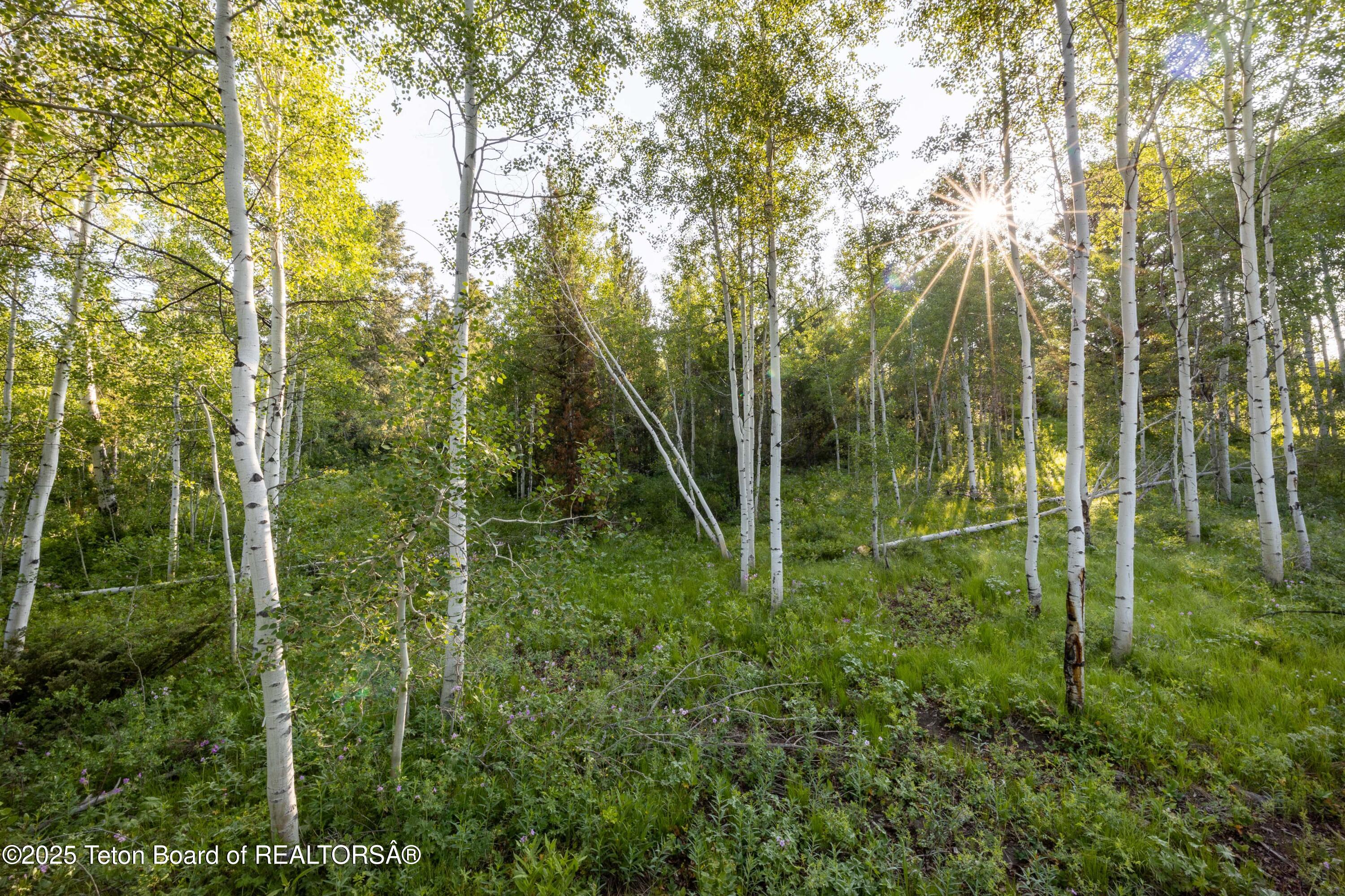 15245 E TETON WILDERNESS Drive