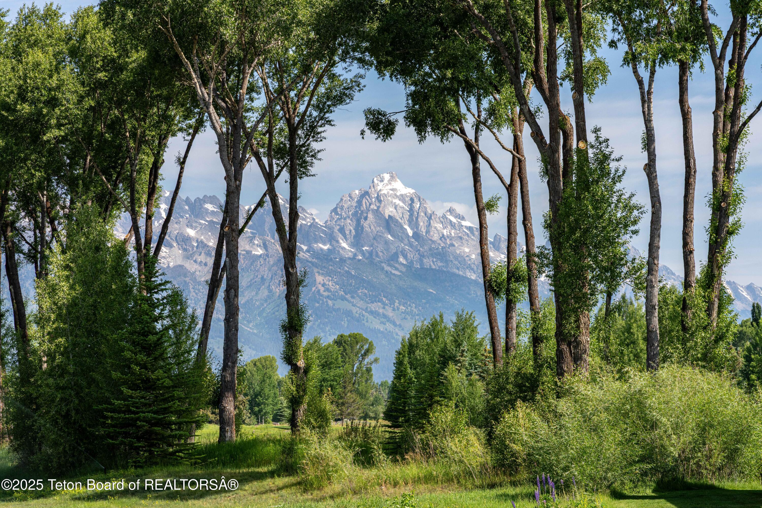 5862 N CONEFLOWER Drive, 17