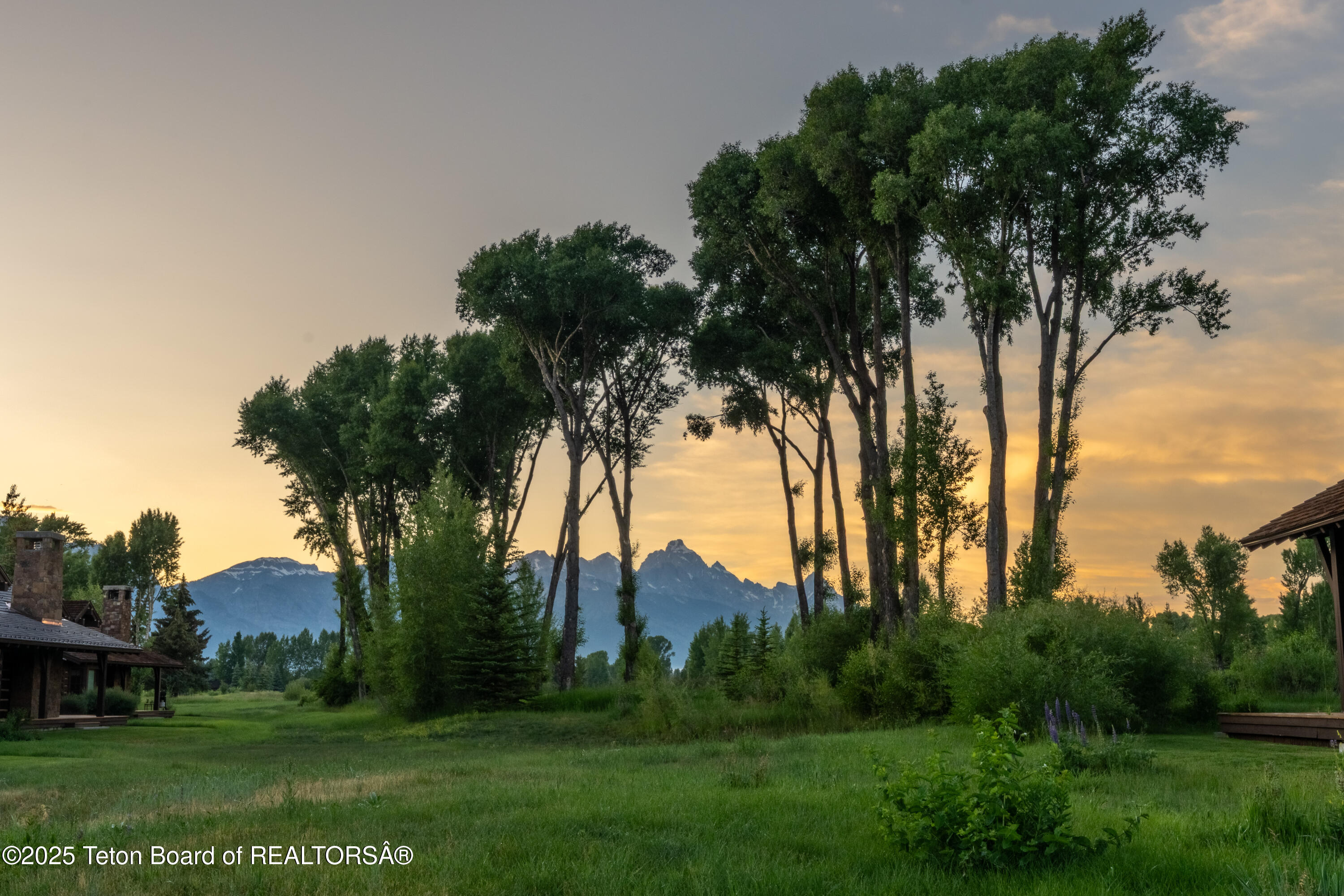 5862 N CONEFLOWER Drive, 17