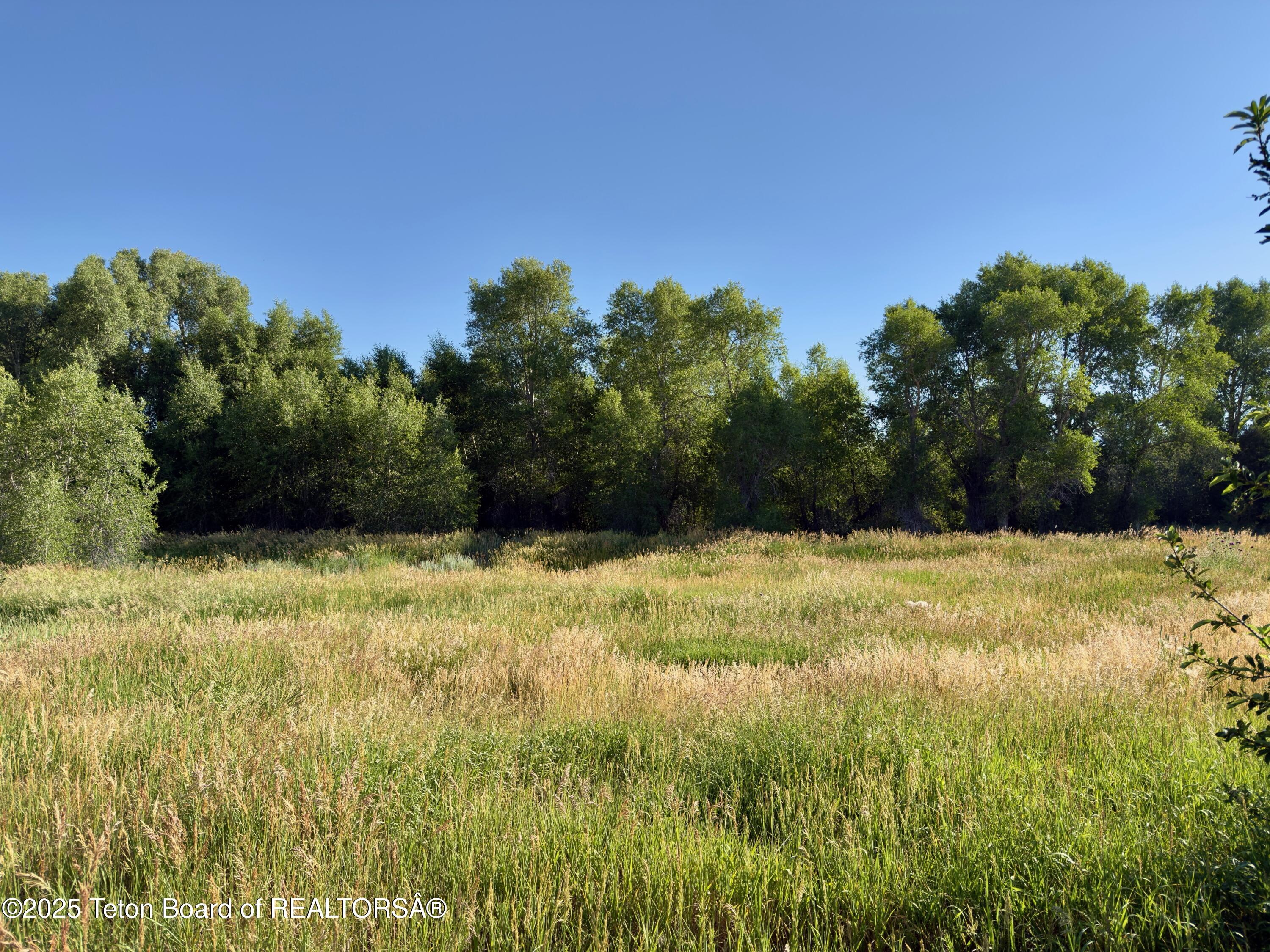 8073 BROWN TROUT BEND