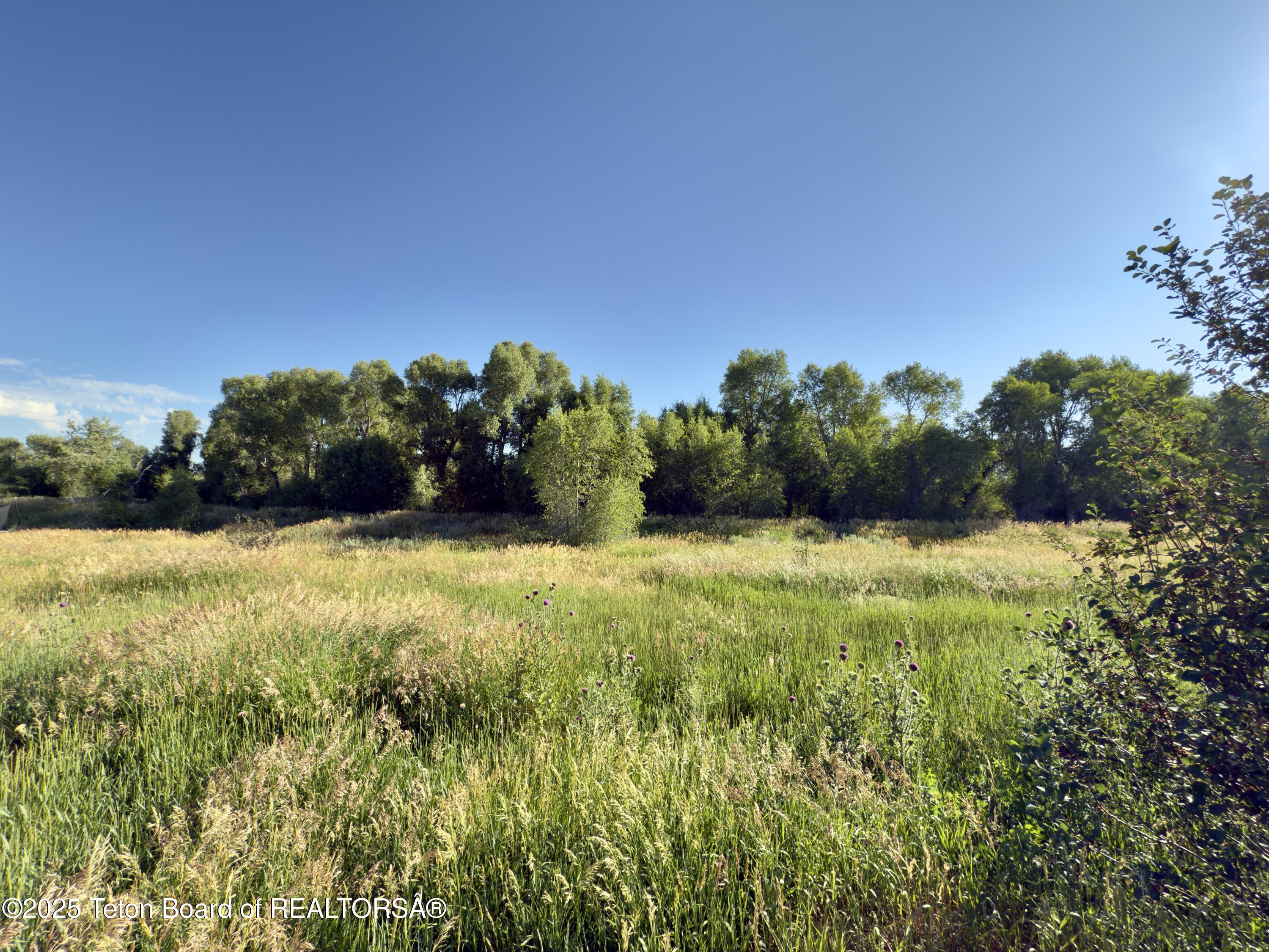 8073 BROWN TROUT BEND