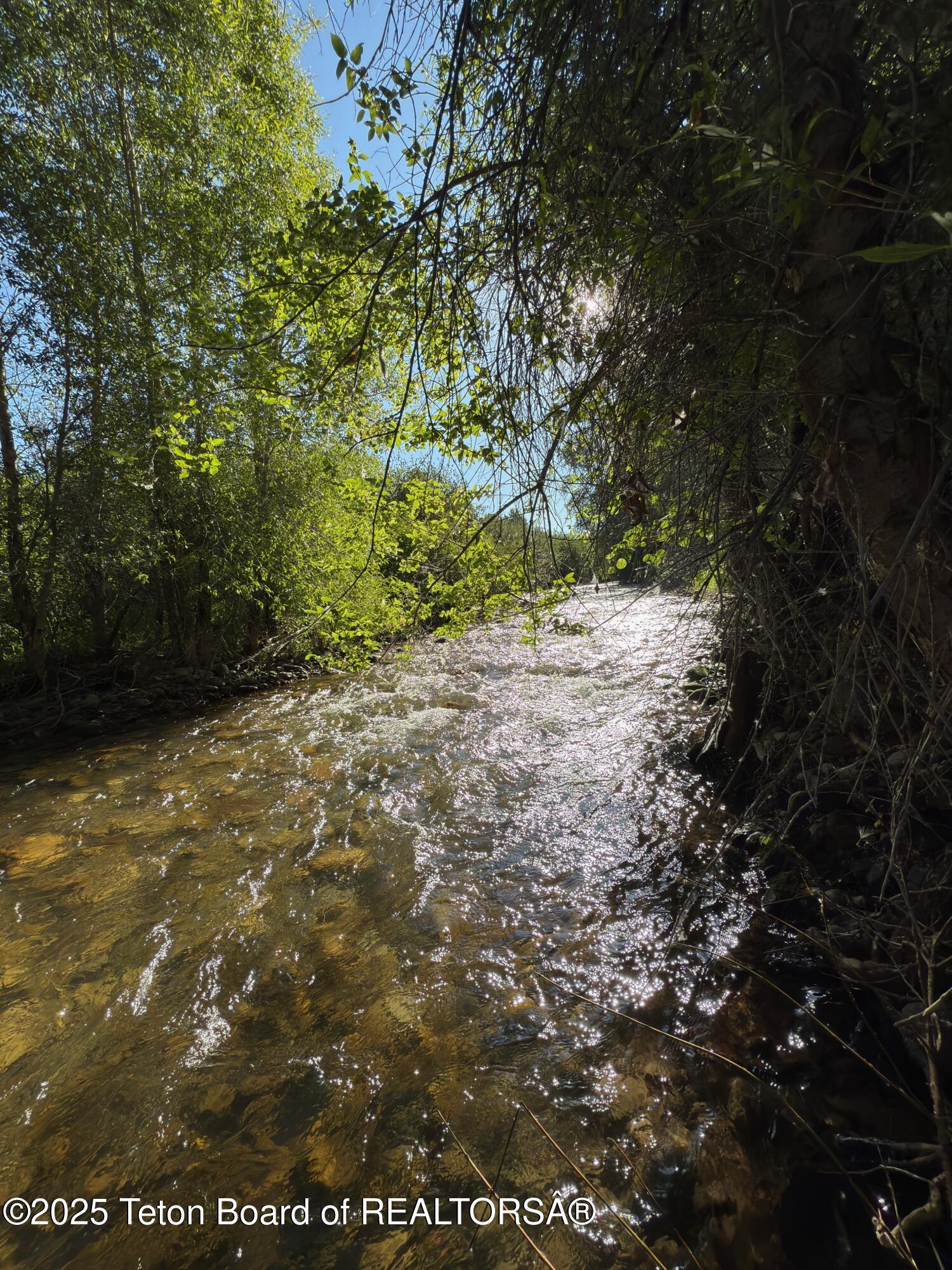 8073 BROWN TROUT BEND