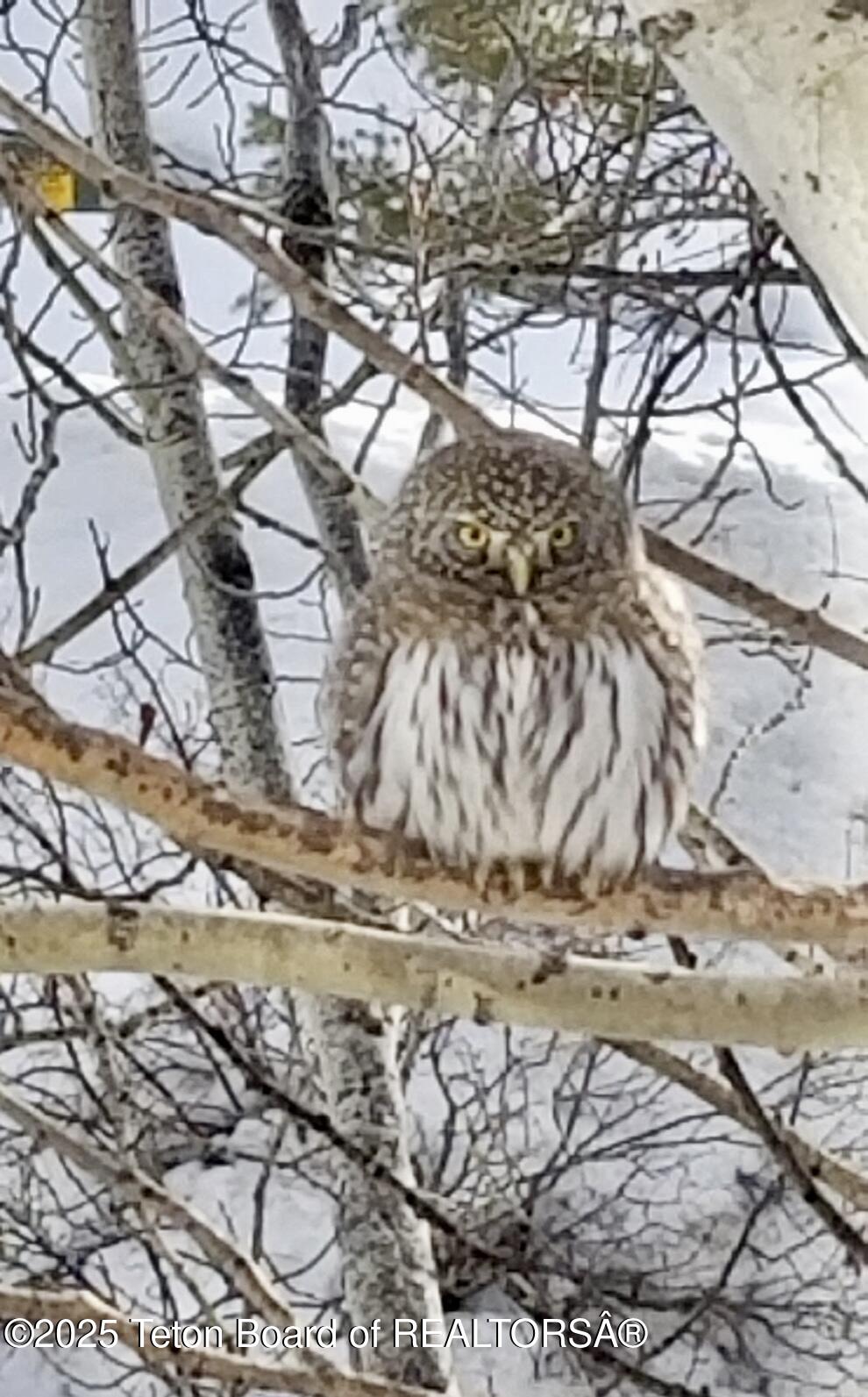 1035 E DEER CREEK Drive