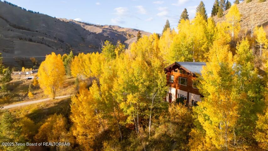 1035 E DEER CREEK Drive