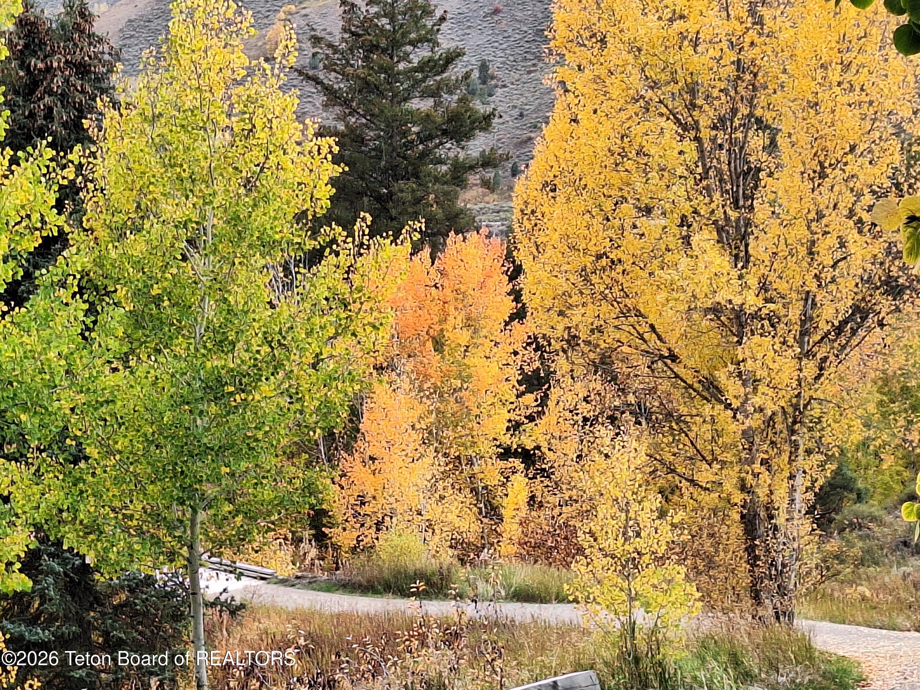 1035 E DEER CREEK Drive