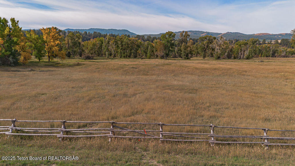 TBD WHITE TAIL Drive