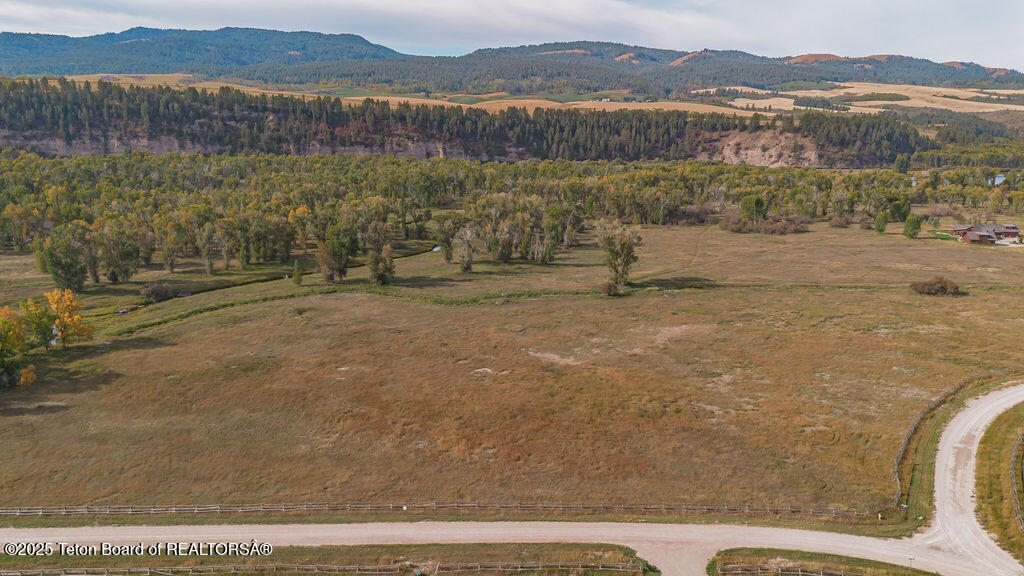 TBD WHITE TAIL Drive