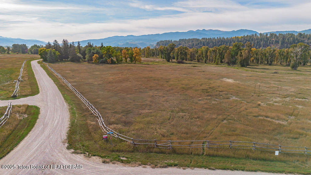 TBD WHITE TAIL Drive