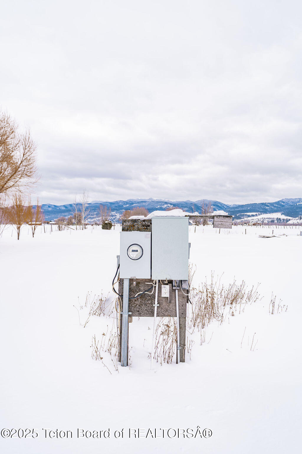 262 RAINEY CREEK Road