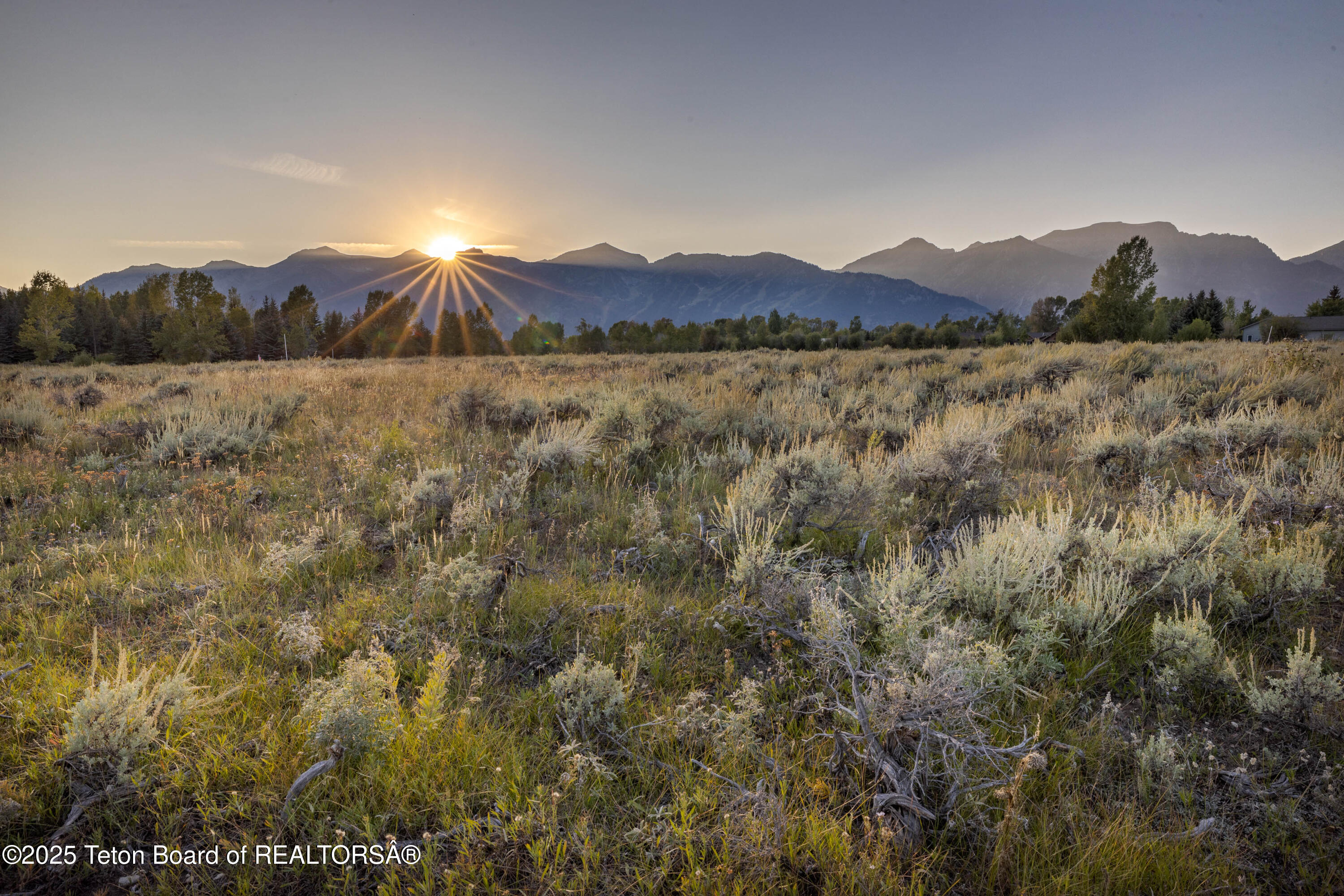 TBD HUCKLEBERRY Drive