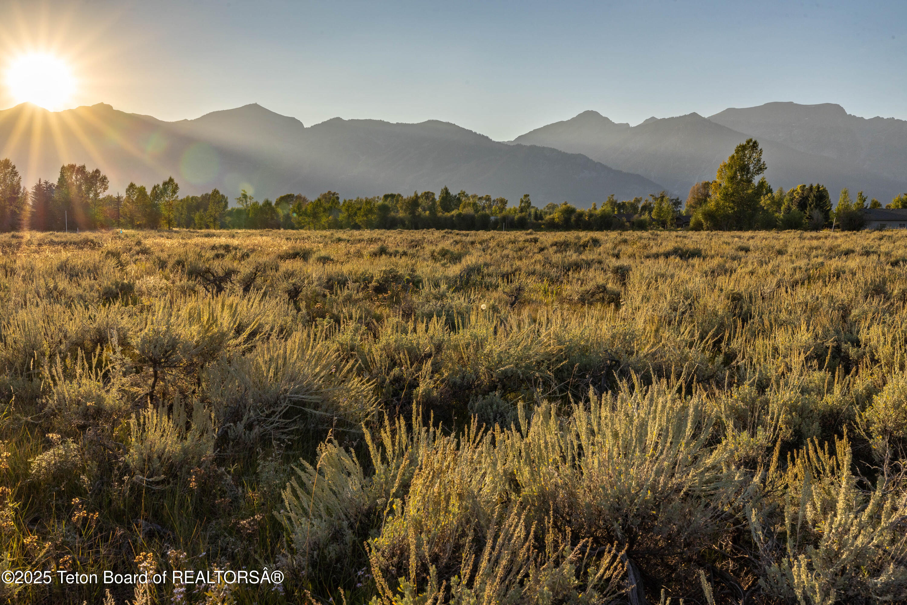 TBD HUCKLEBERRY Drive