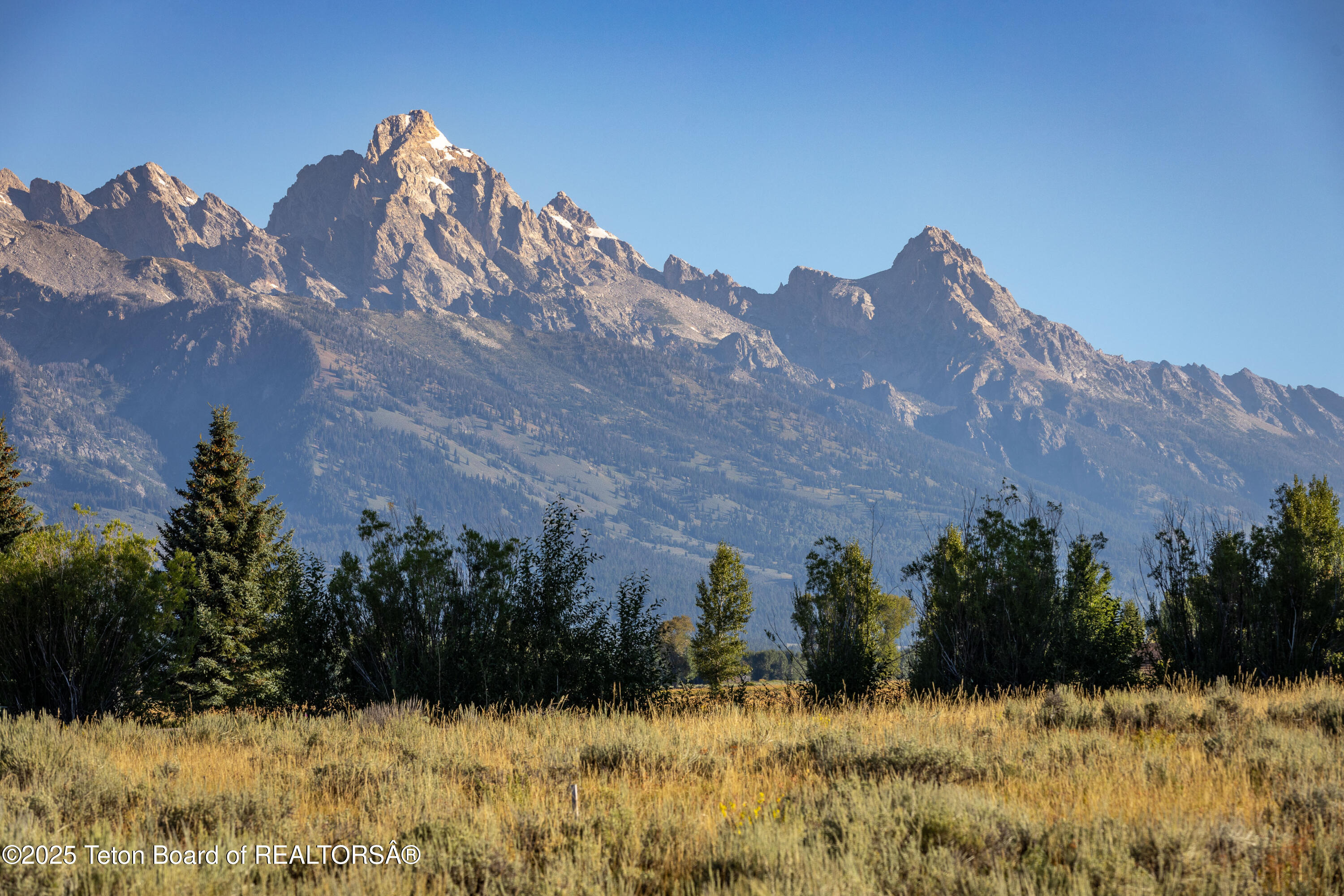 TBD HUCKLEBERRY Drive