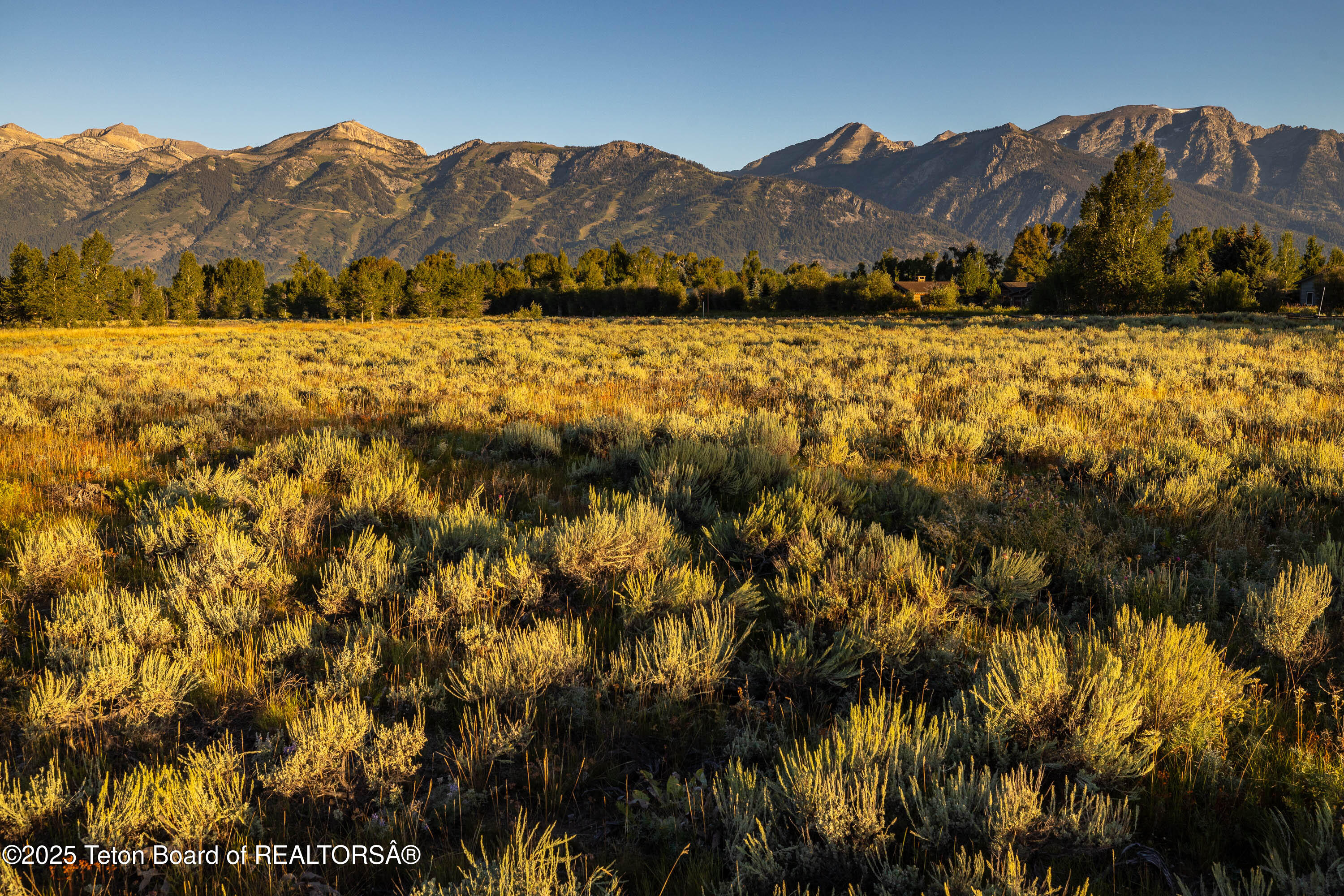 TBD HUCKLEBERRY Drive