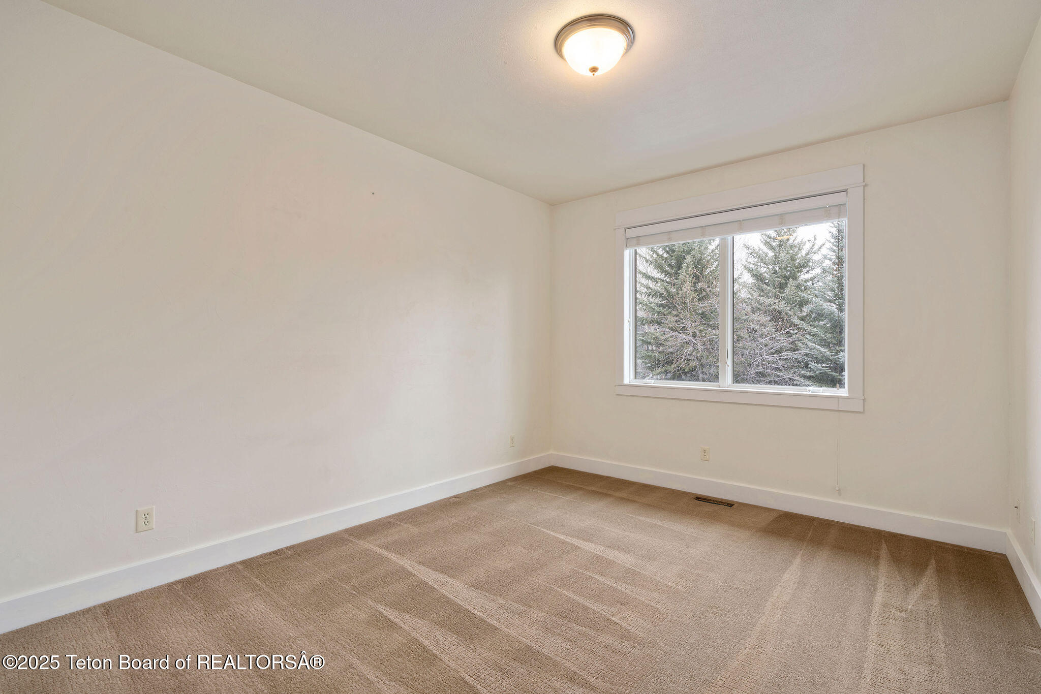 109 TRAIL CREEK Drive