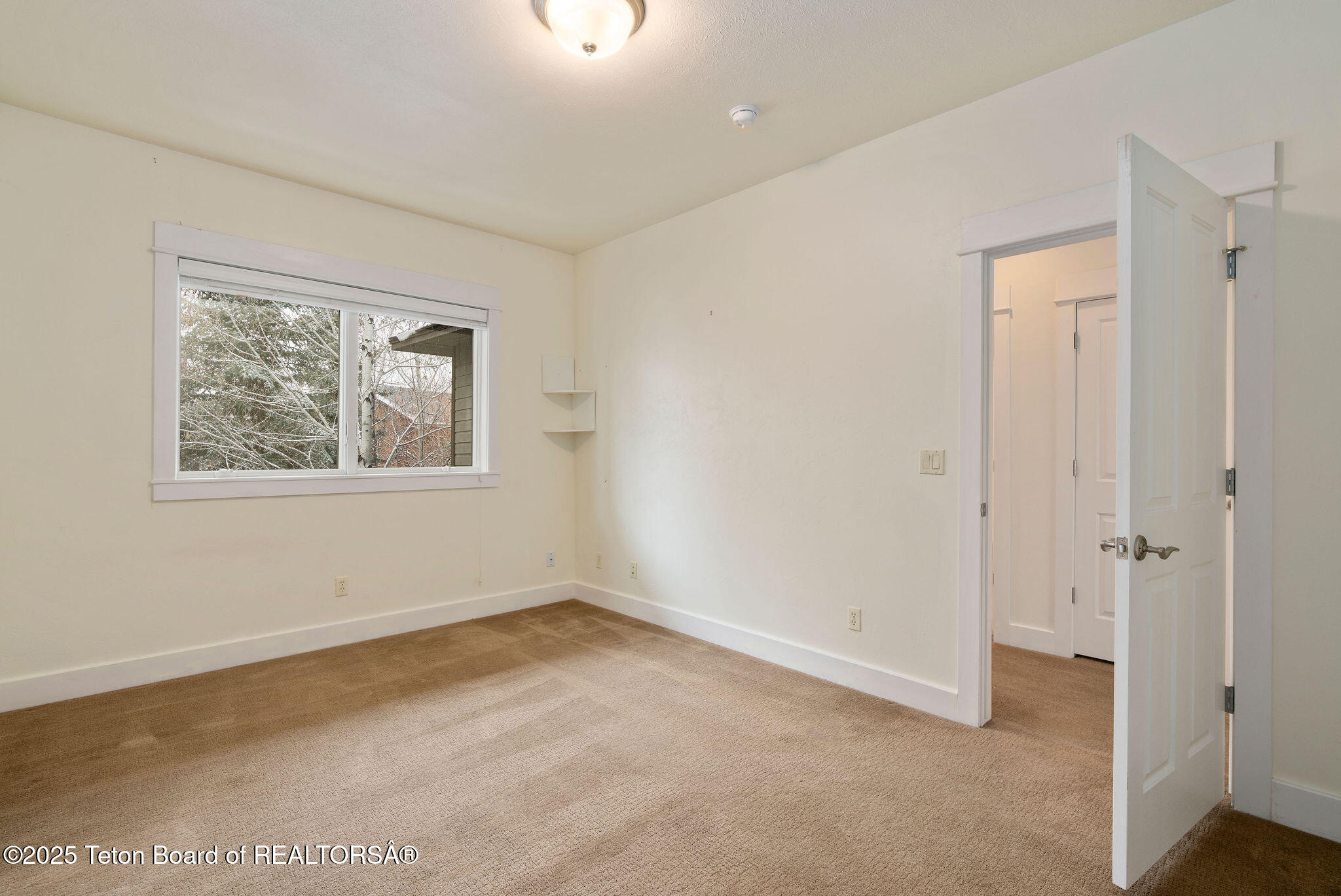 109 TRAIL CREEK Drive