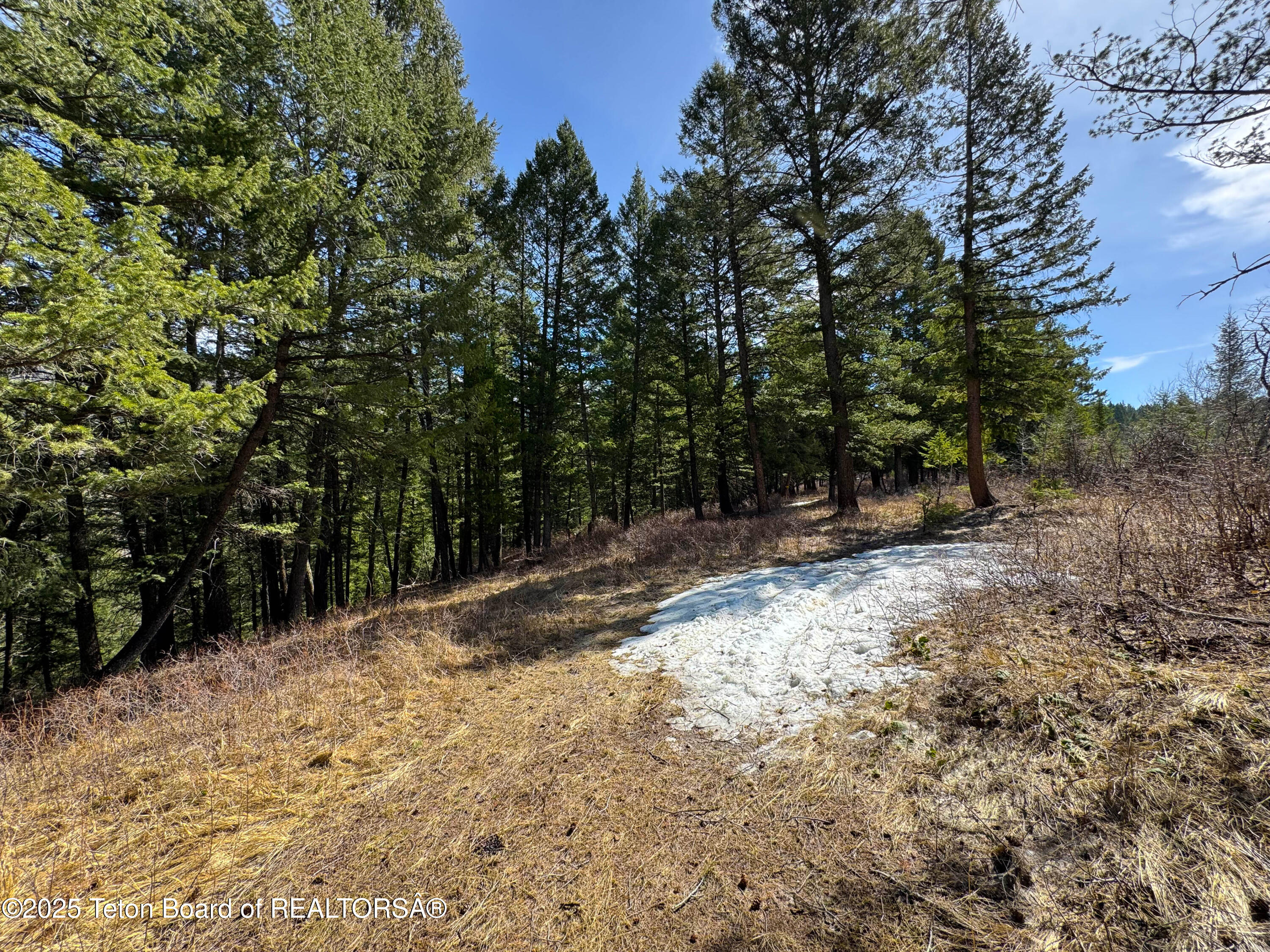 L26 BLK3 CUTTHROAT RUN