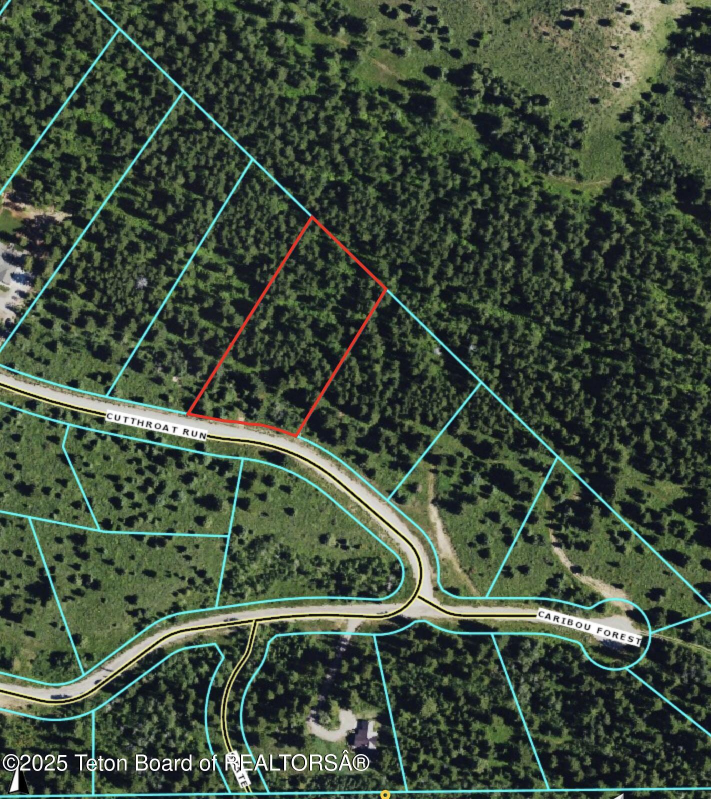 L26 BLK3 CUTTHROAT RUN