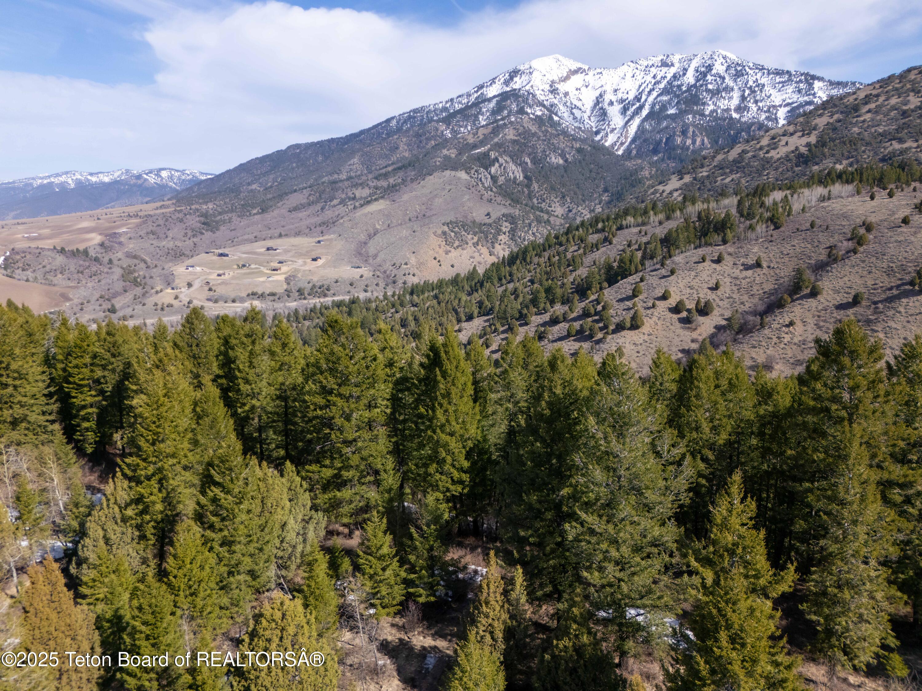 L26 BLK3 CUTTHROAT RUN