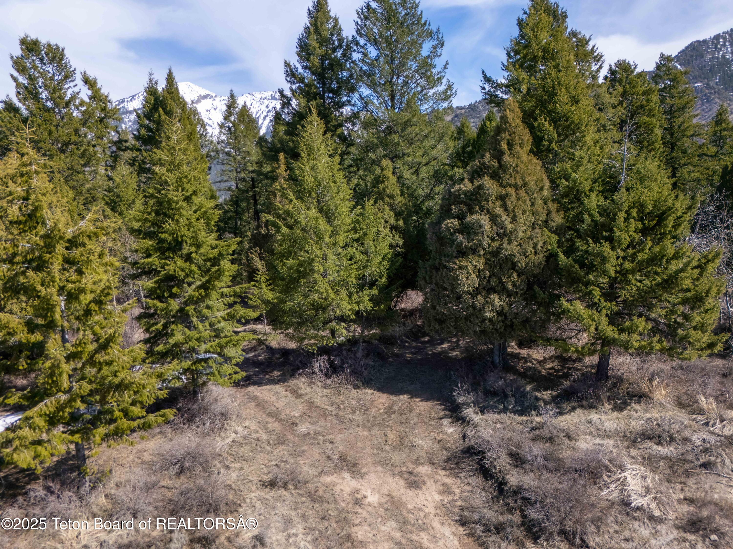 L26 BLK3 CUTTHROAT RUN