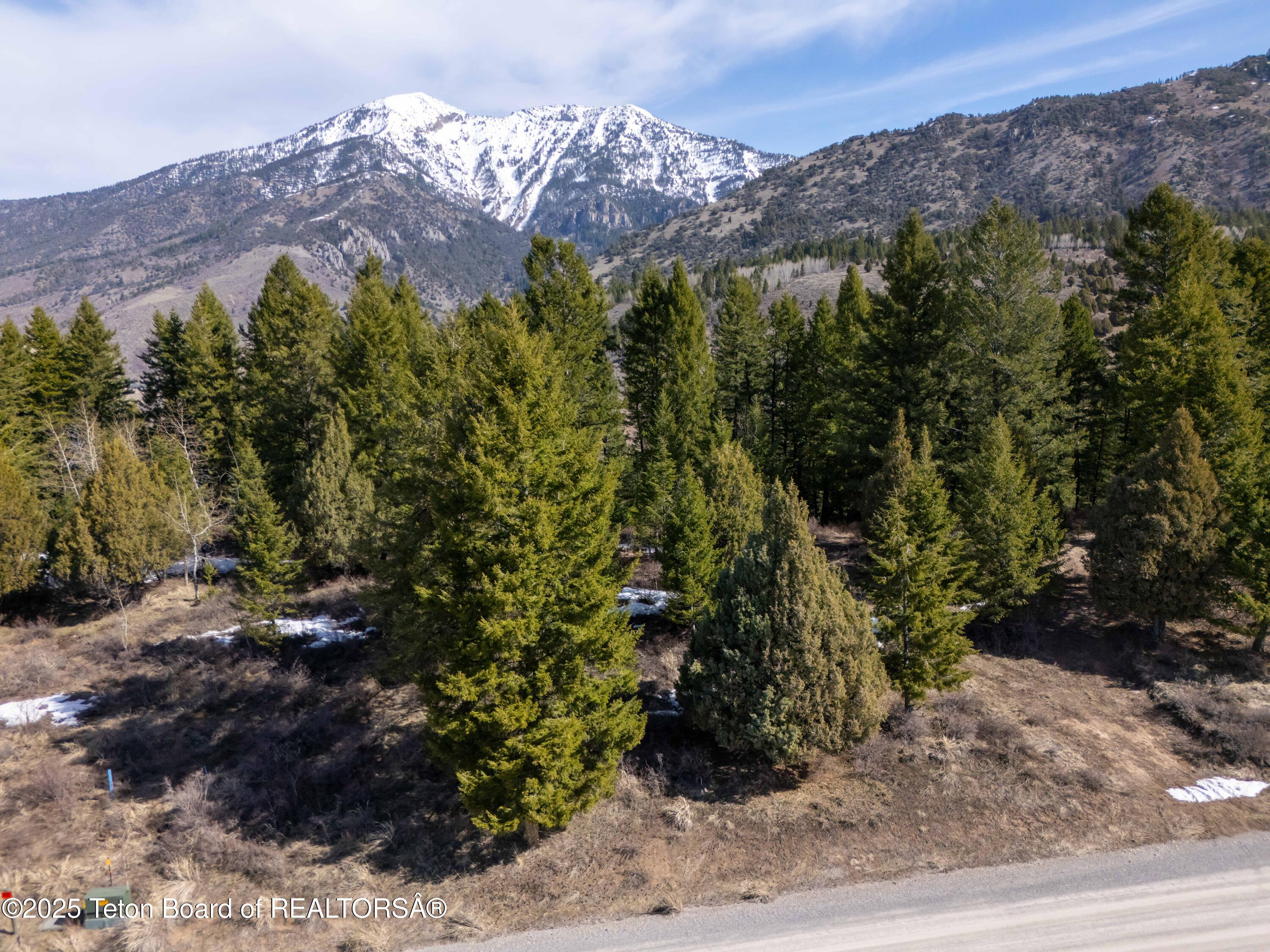 L26 BLK3 CUTTHROAT RUN