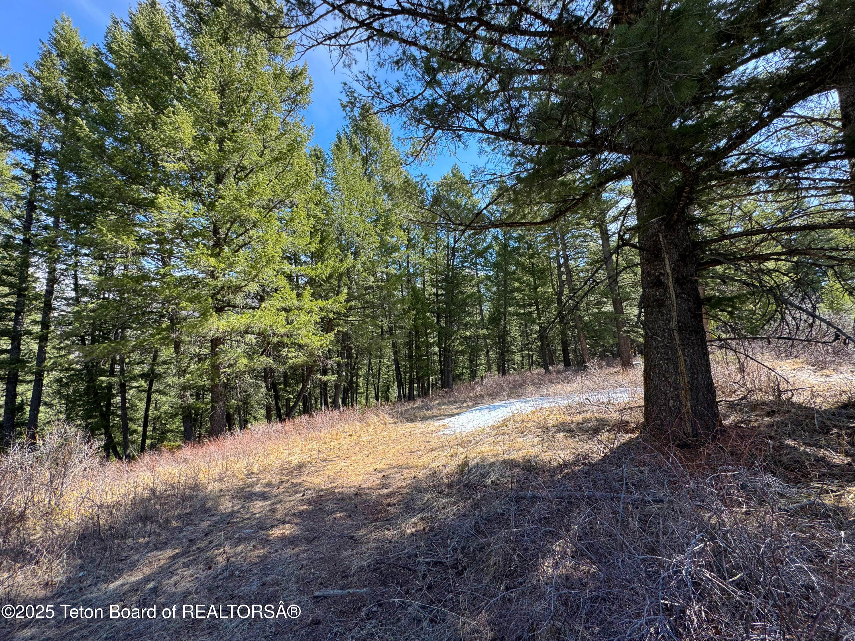 L26 BLK3 CUTTHROAT RUN