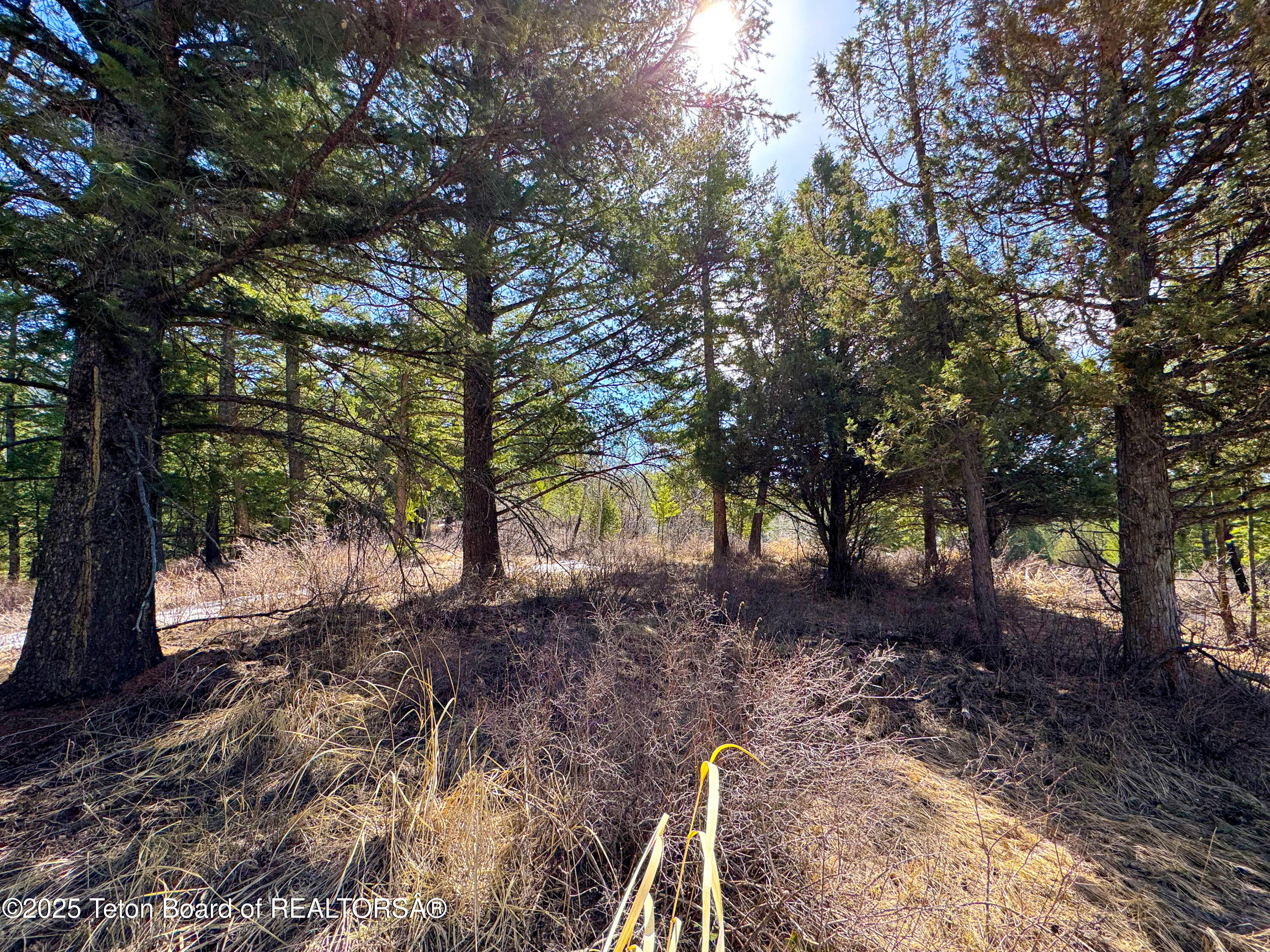 L26 BLK3 CUTTHROAT RUN