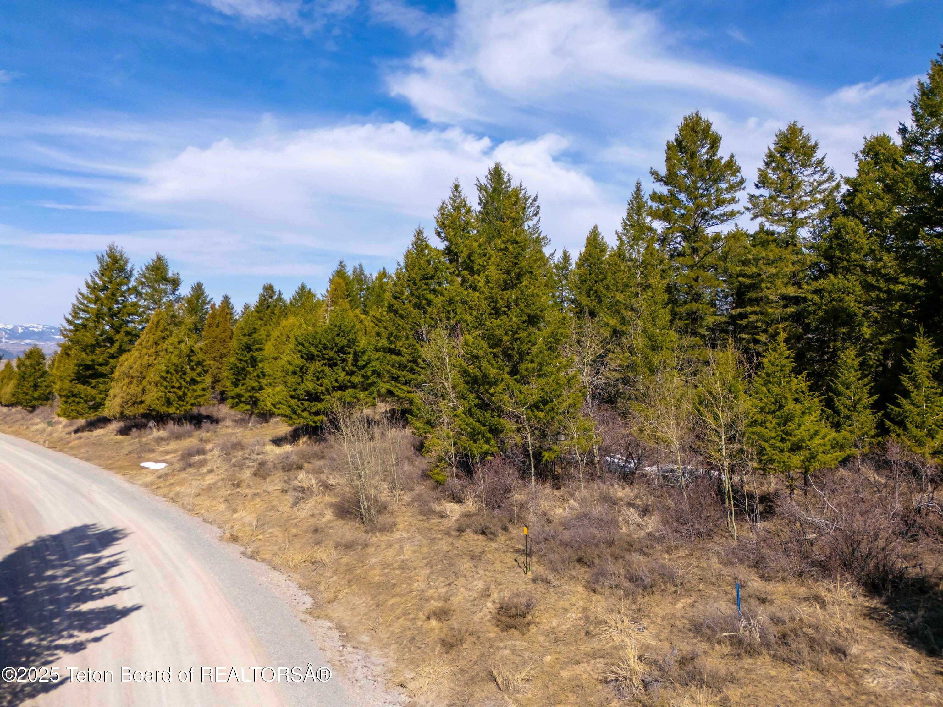 L26 BLK3 CUTTHROAT RUN