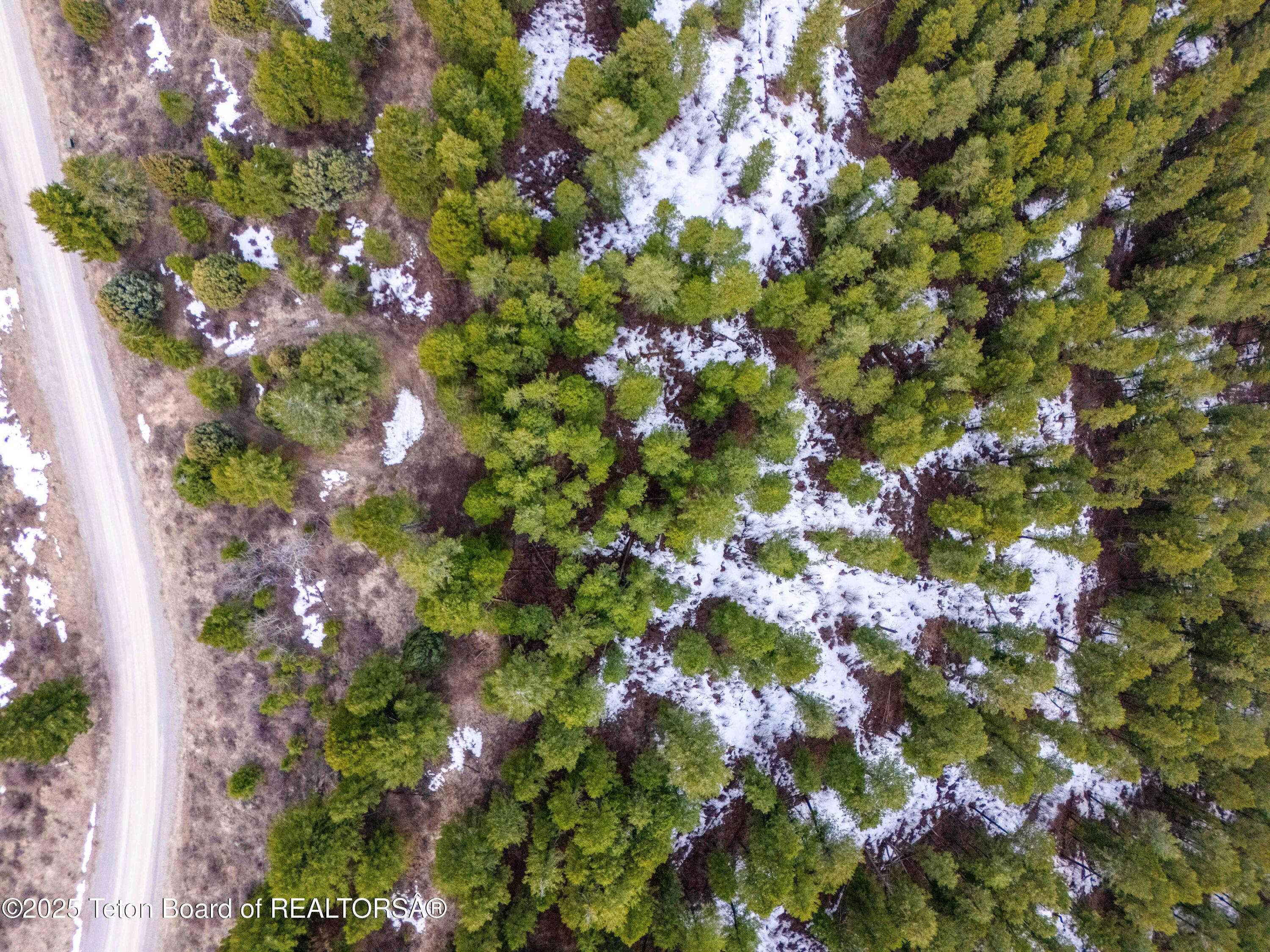 L26 BLK3 CUTTHROAT RUN