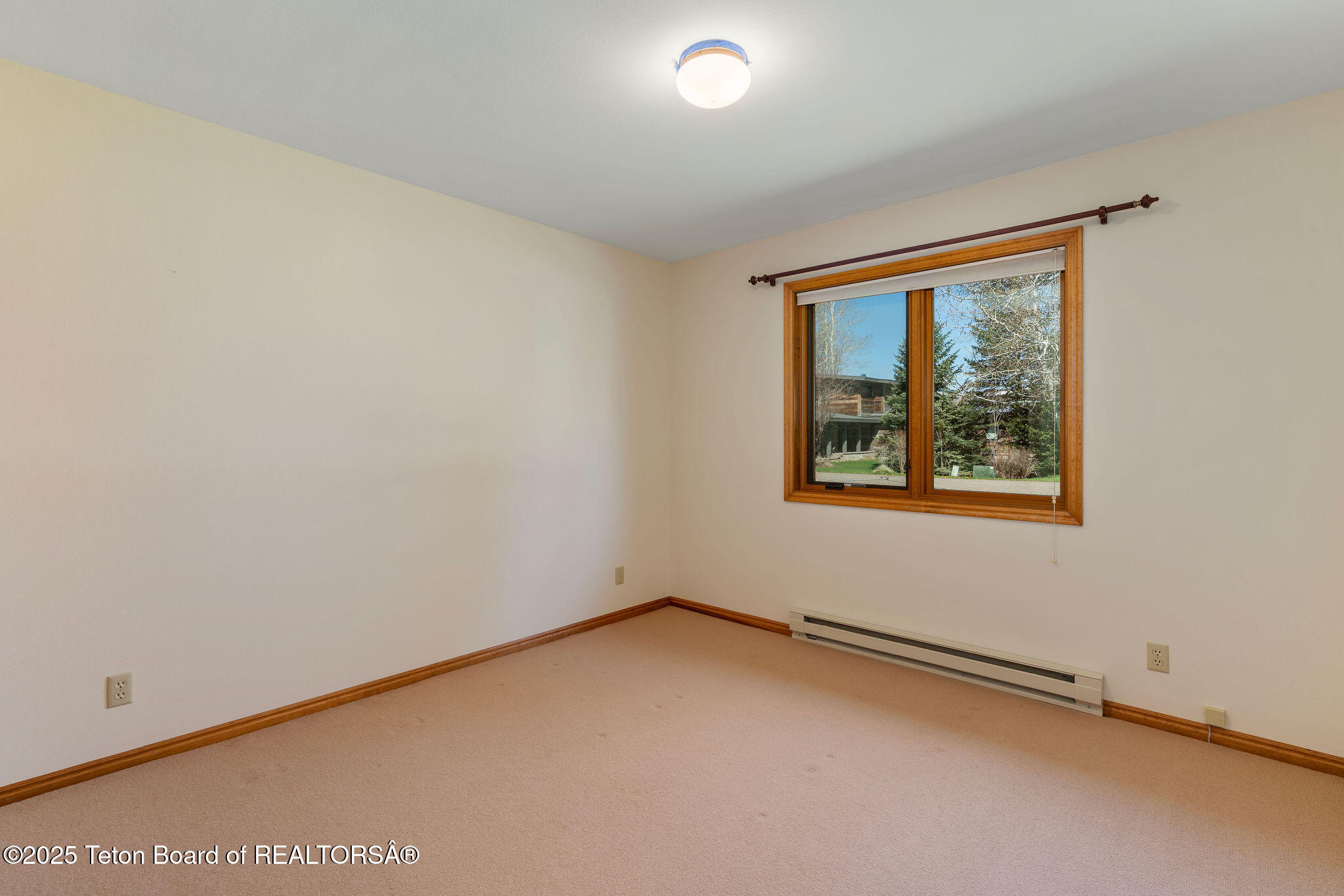 1780 W PACK SADDLE Drive