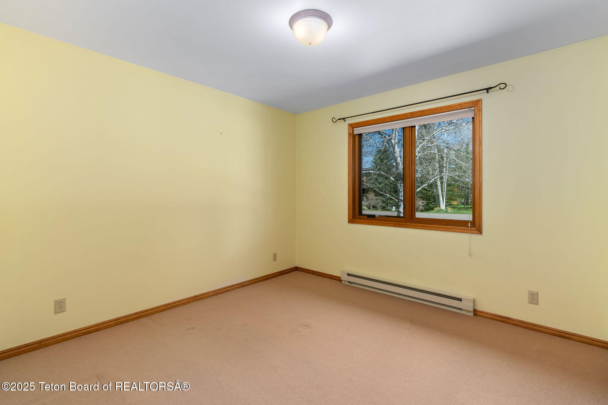 1780 W PACK SADDLE Drive