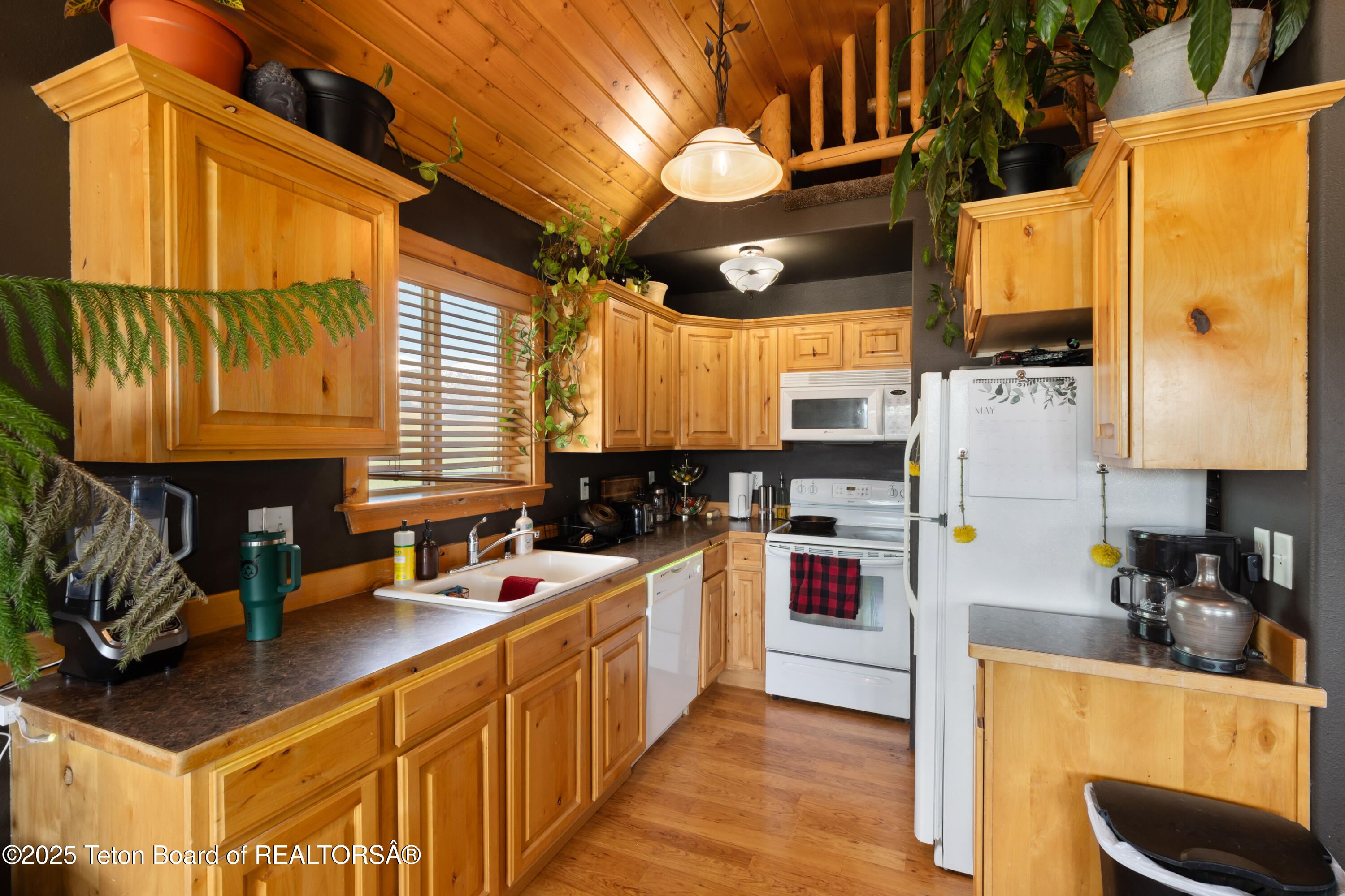 263 FRIESIAN Circle, 6