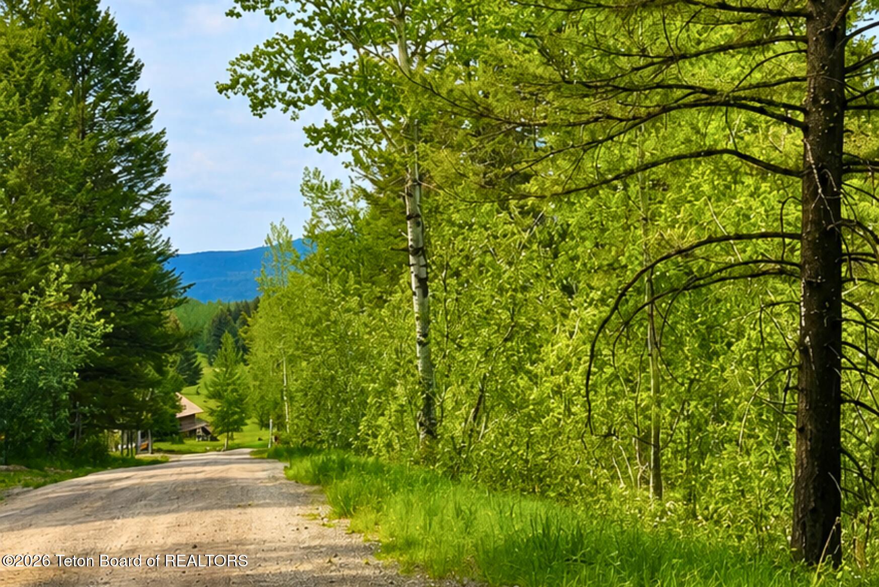 LOT 92 OAK Drive