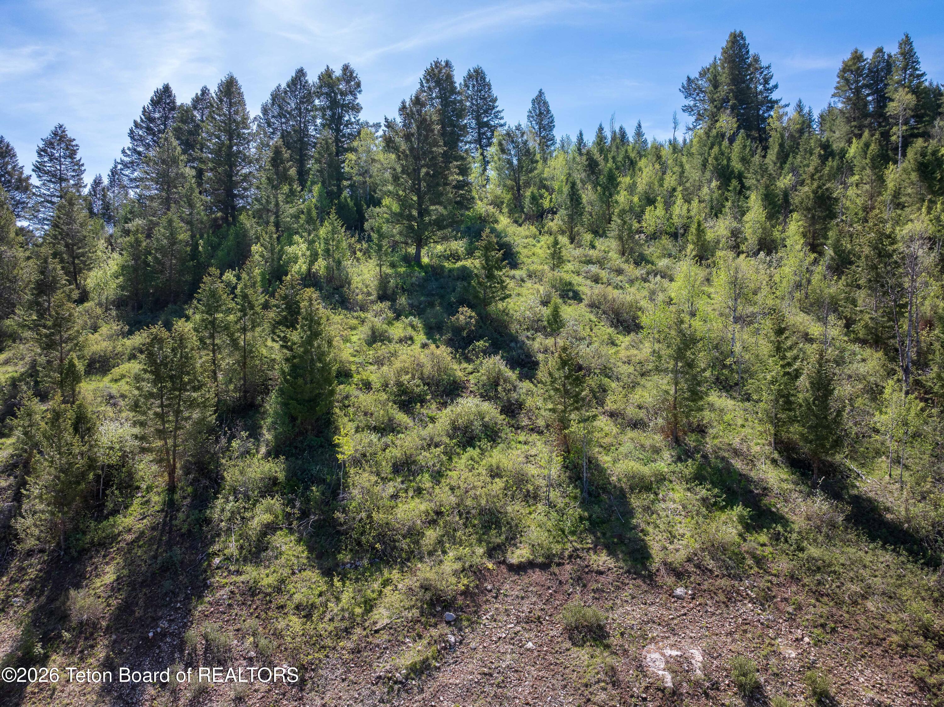 407 FREEDOM RIDGE Road