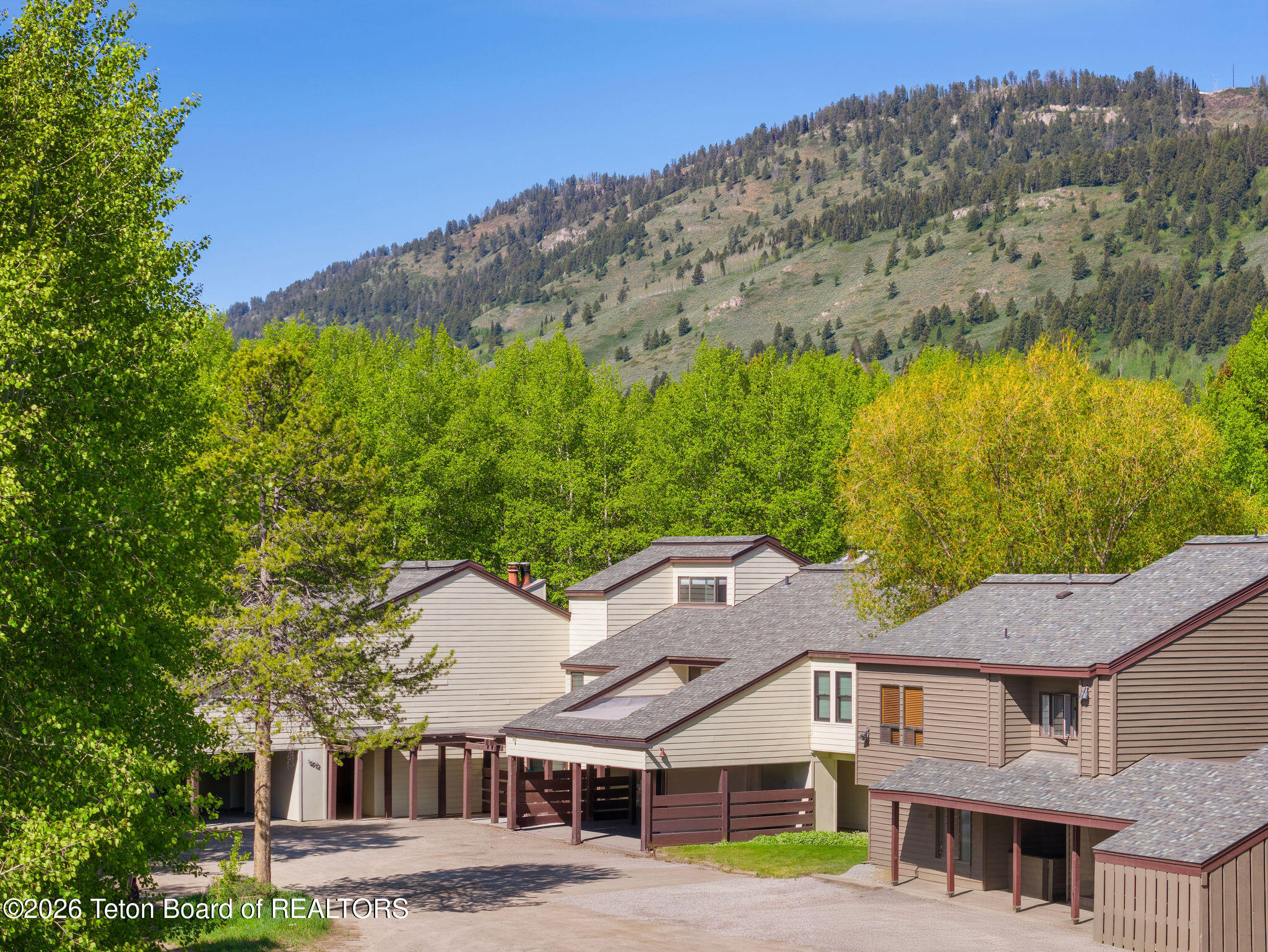 3620 TETON 1614