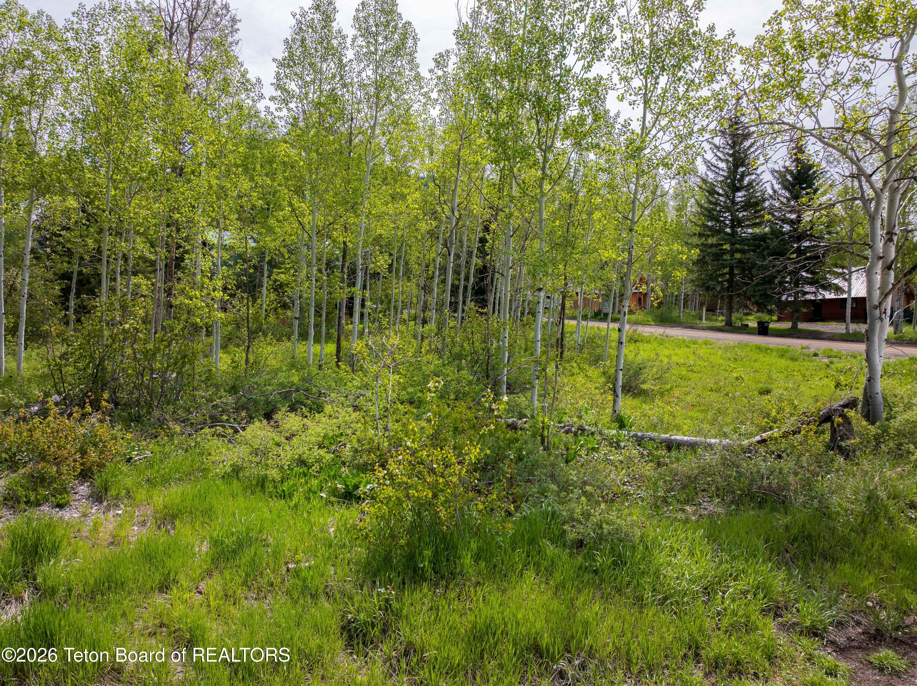 44 GREEN CANYON Drive