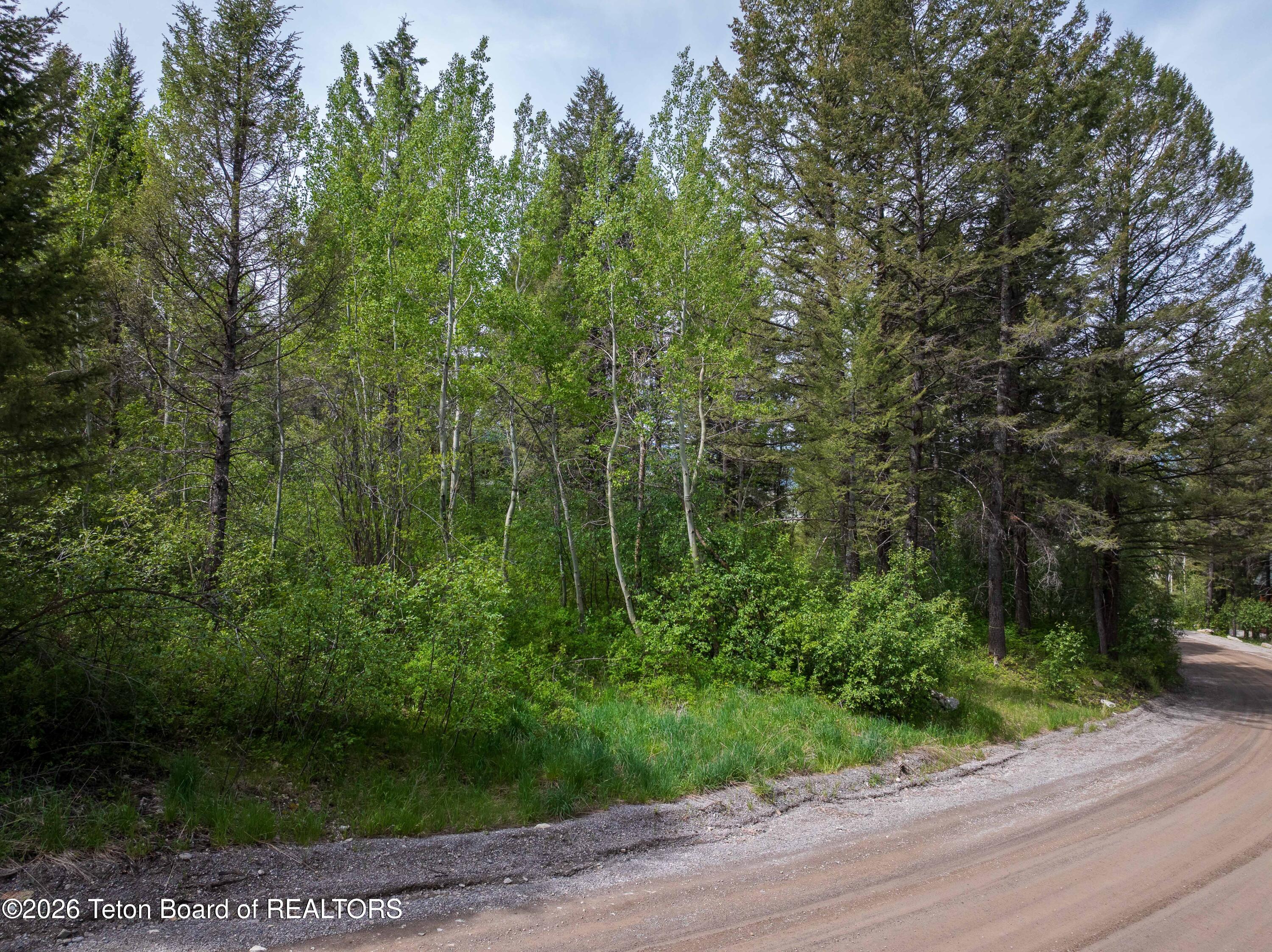 LOT 44 SPRUCE Drive
