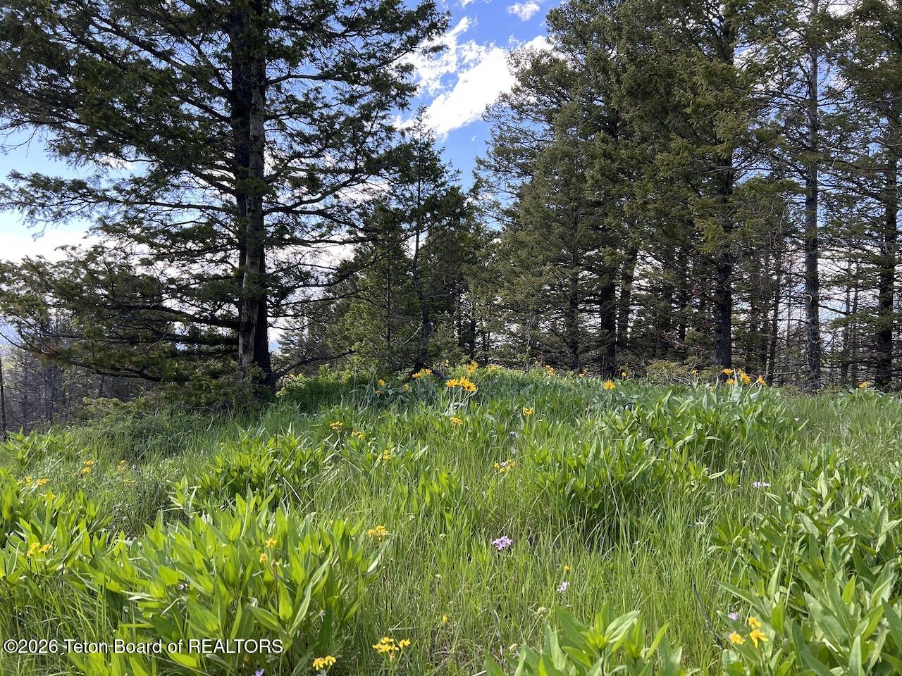 TBD DEER HAVEN 40 AC Road
