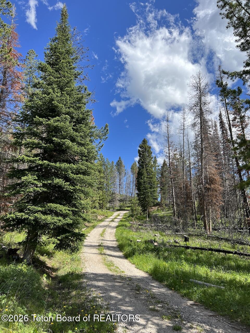 TBD DEER HAVEN 40 AC Road