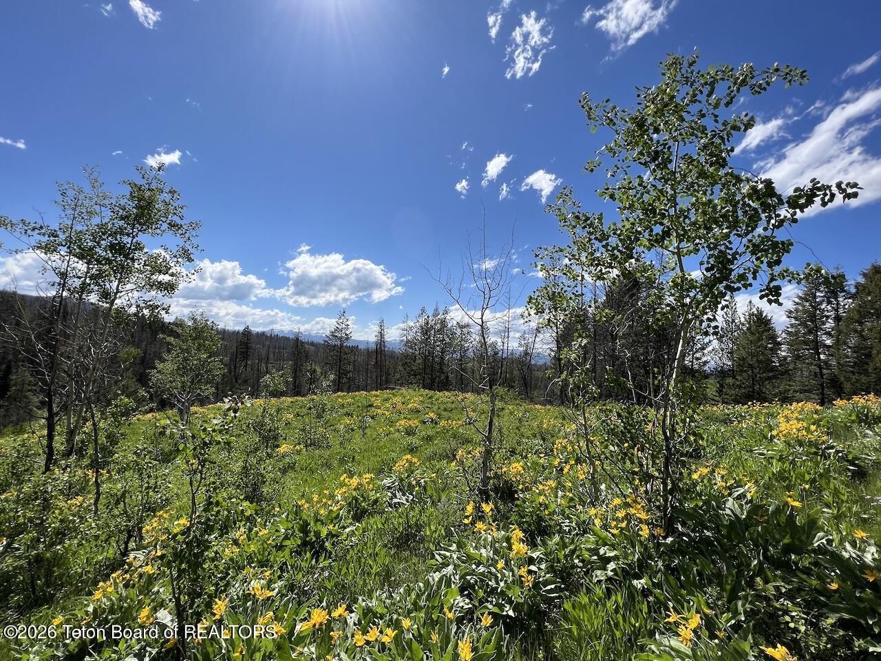 TBD DEER HAVEN 40 AC Road