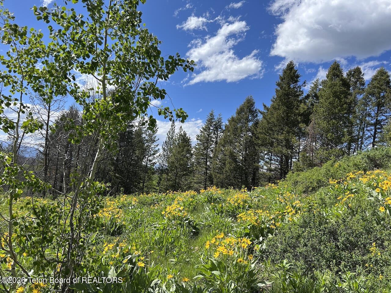 TBD DEER HAVEN 40 AC Road