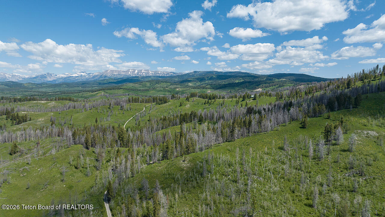 TBD DEER HAVEN 40 AC Road