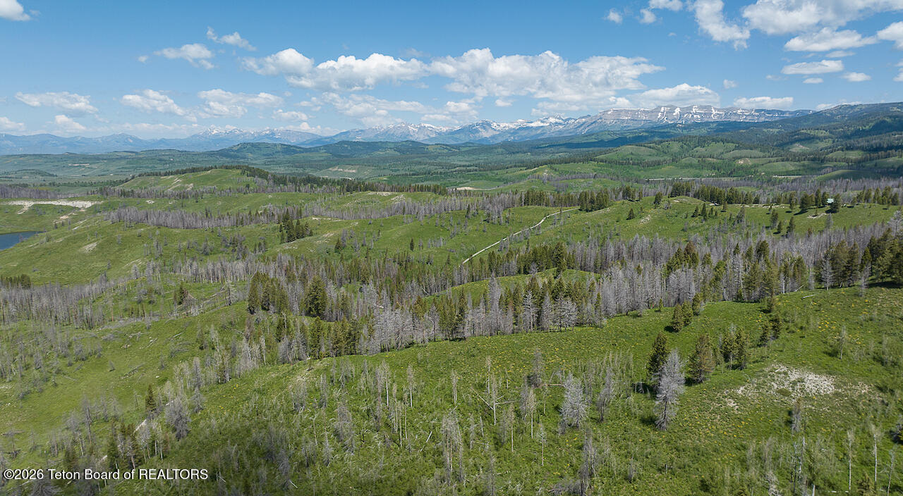 TBD DEER HAVEN 40 AC Road