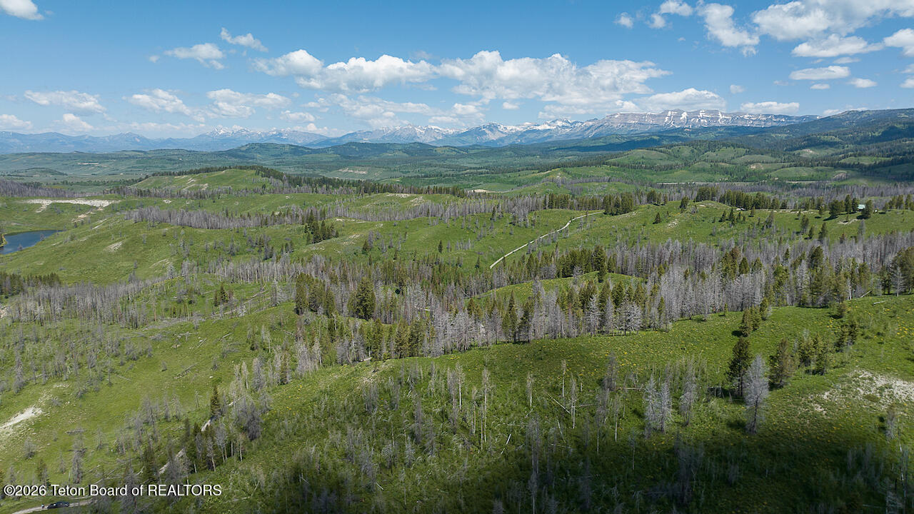 TBD DEER HAVEN 40 AC Road