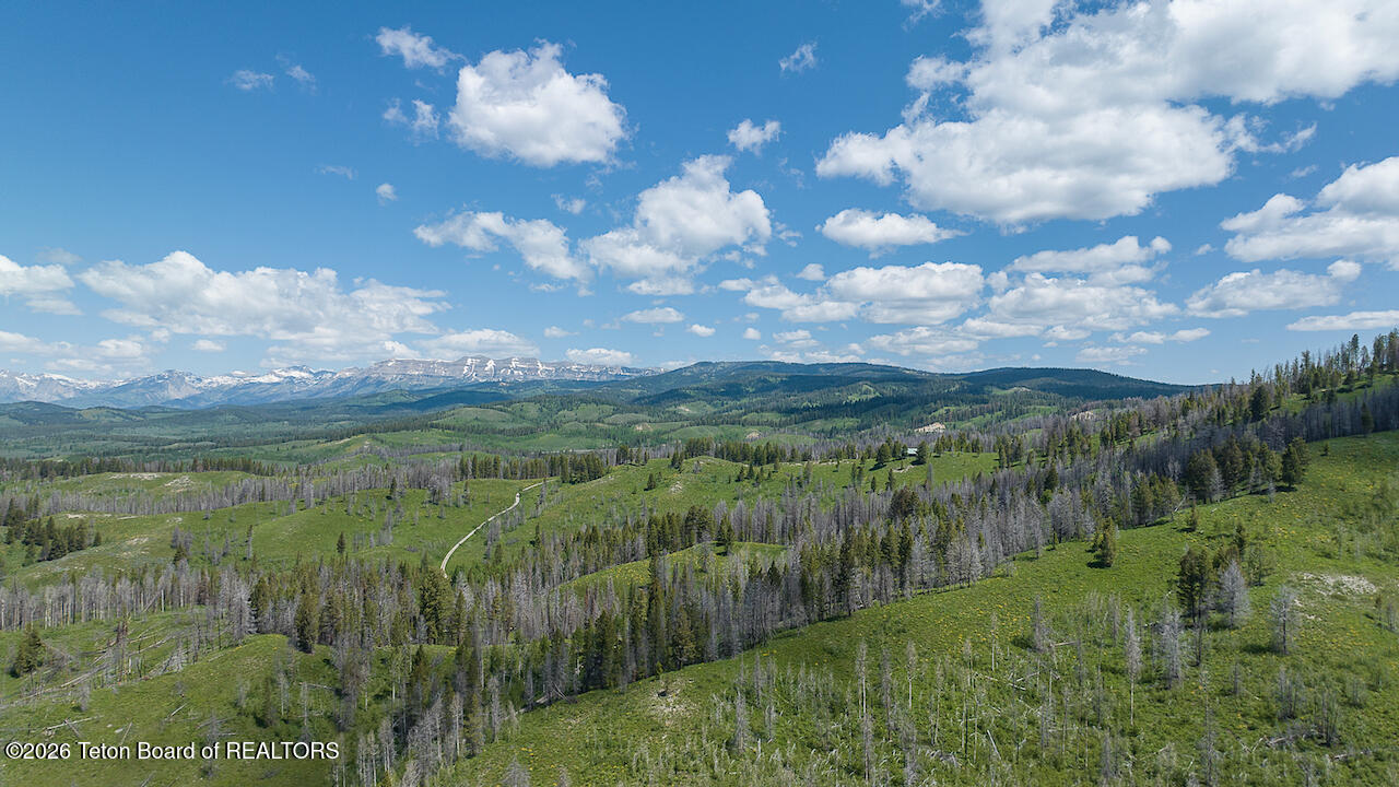 TBD DEER HAVEN 40 AC Road
