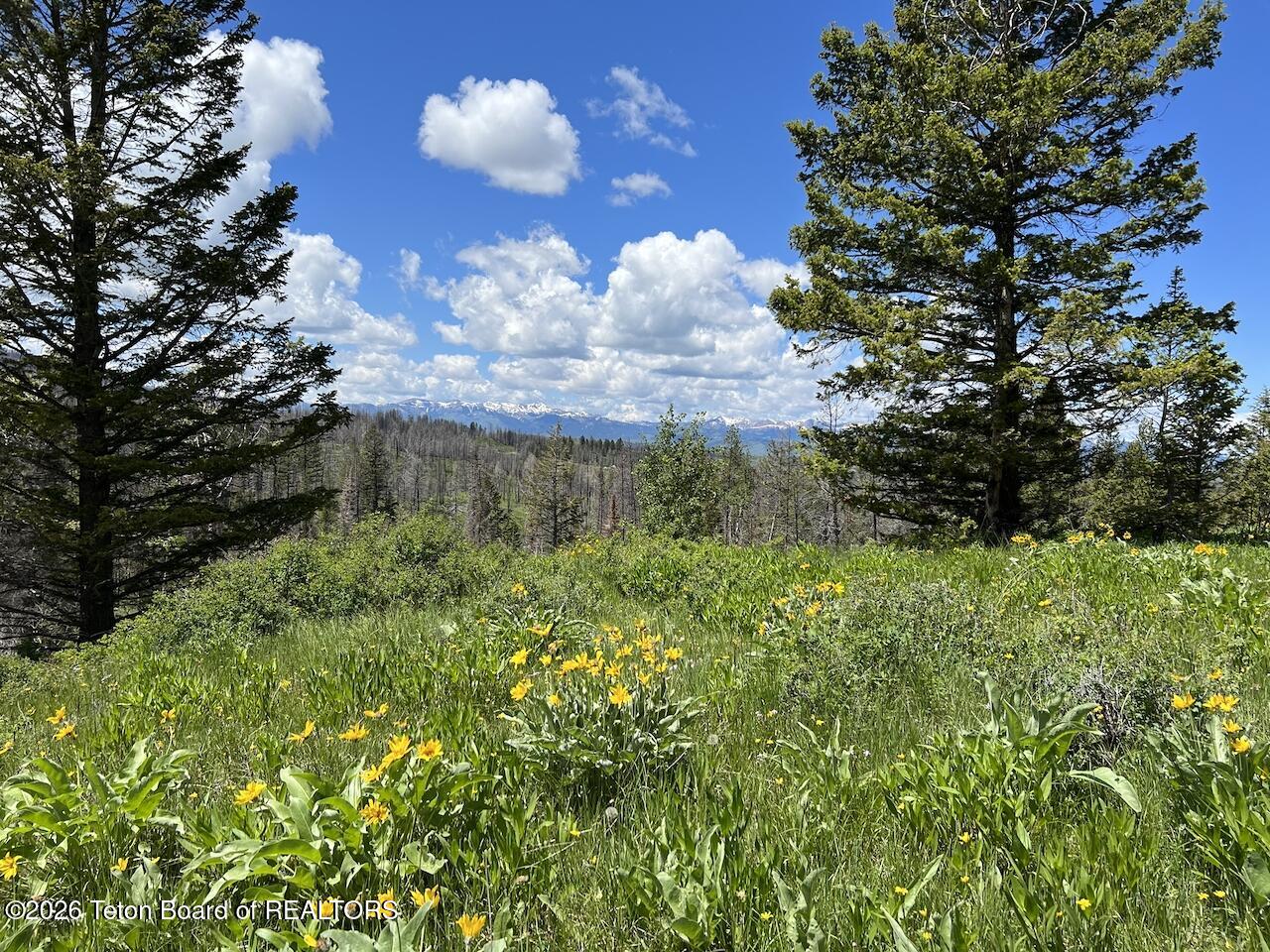 TBD DEER HAVEN 40 AC Road